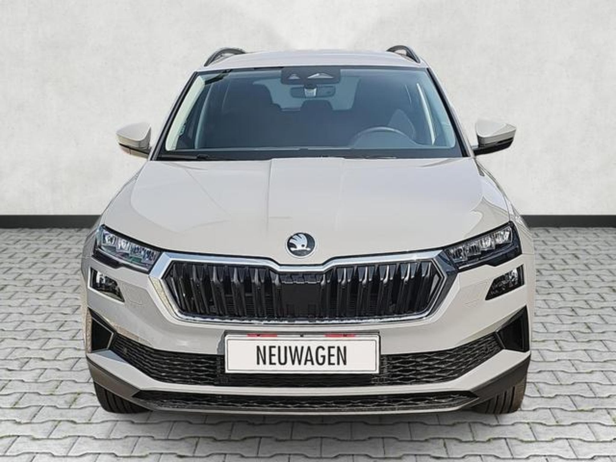 Skoda Karoq Selection (2026) - Photo 2