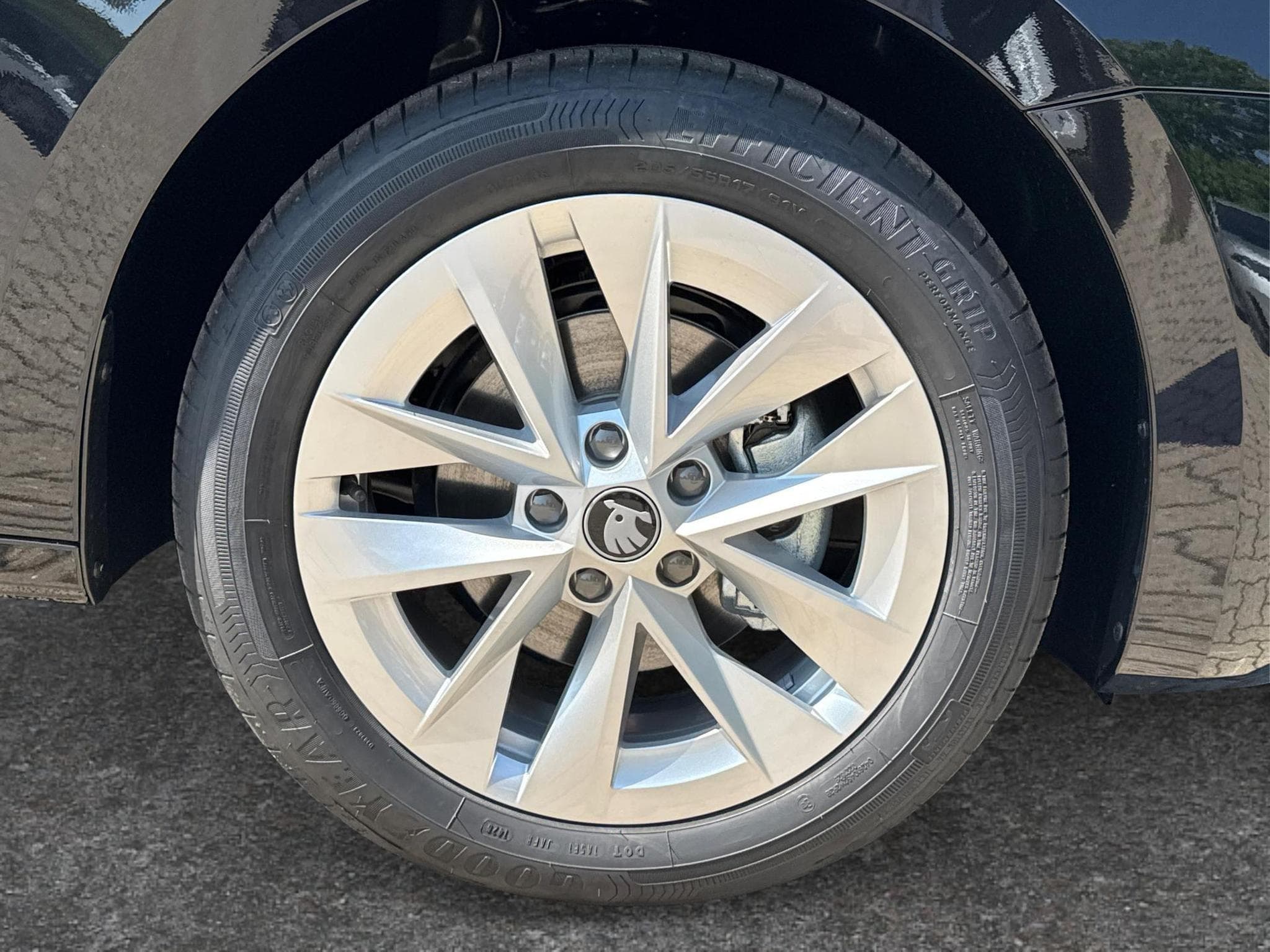 Skoda Octavia Selection (2026) - Photo 11