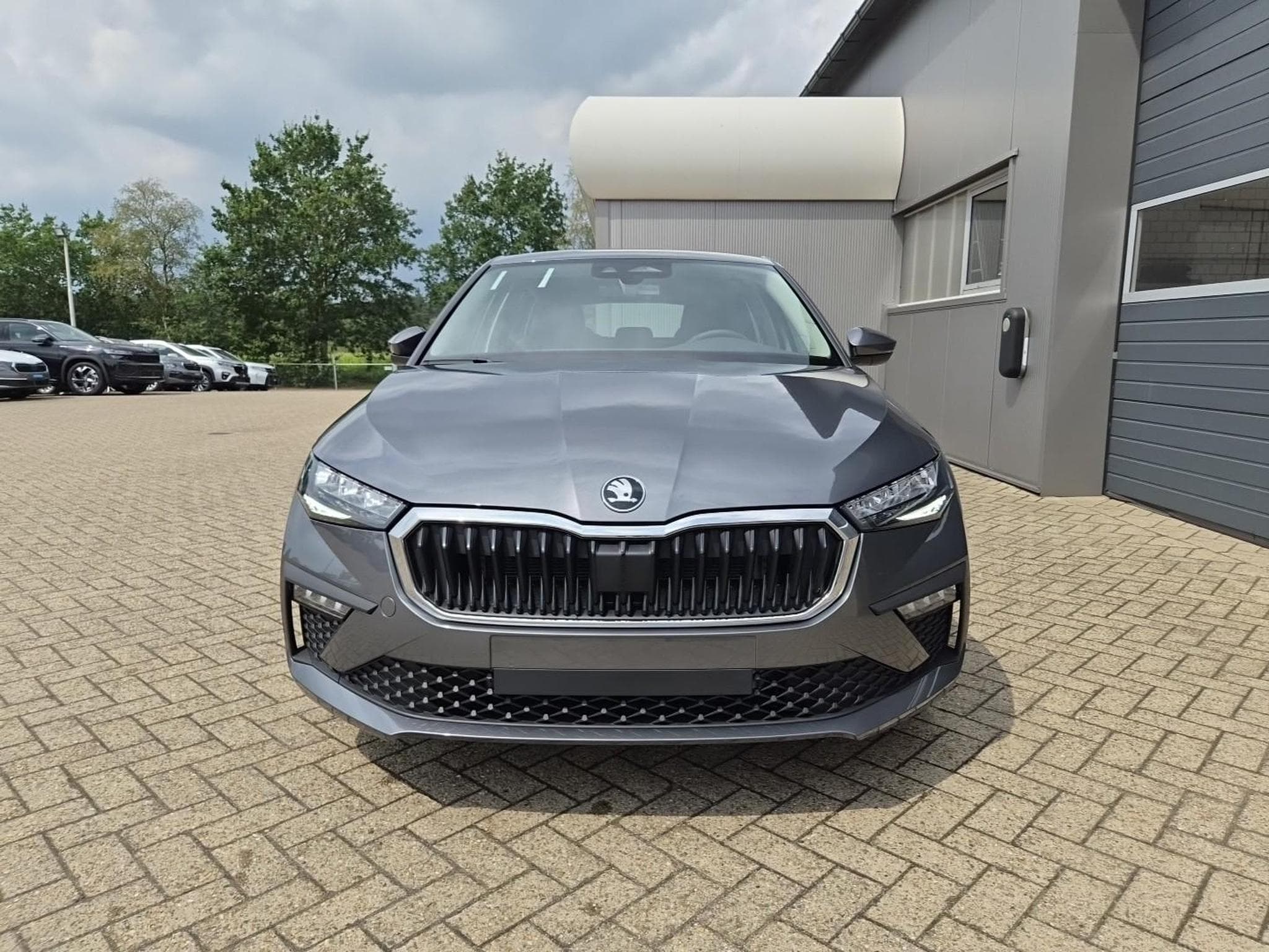 Skoda Scala Selection (2026) - Photo 8