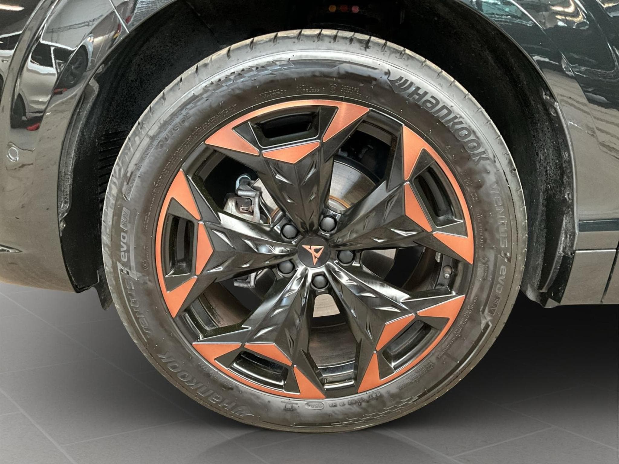 Cupra Terramar DSG+Pano+AHK+Stand.H (2025) - Photo 8