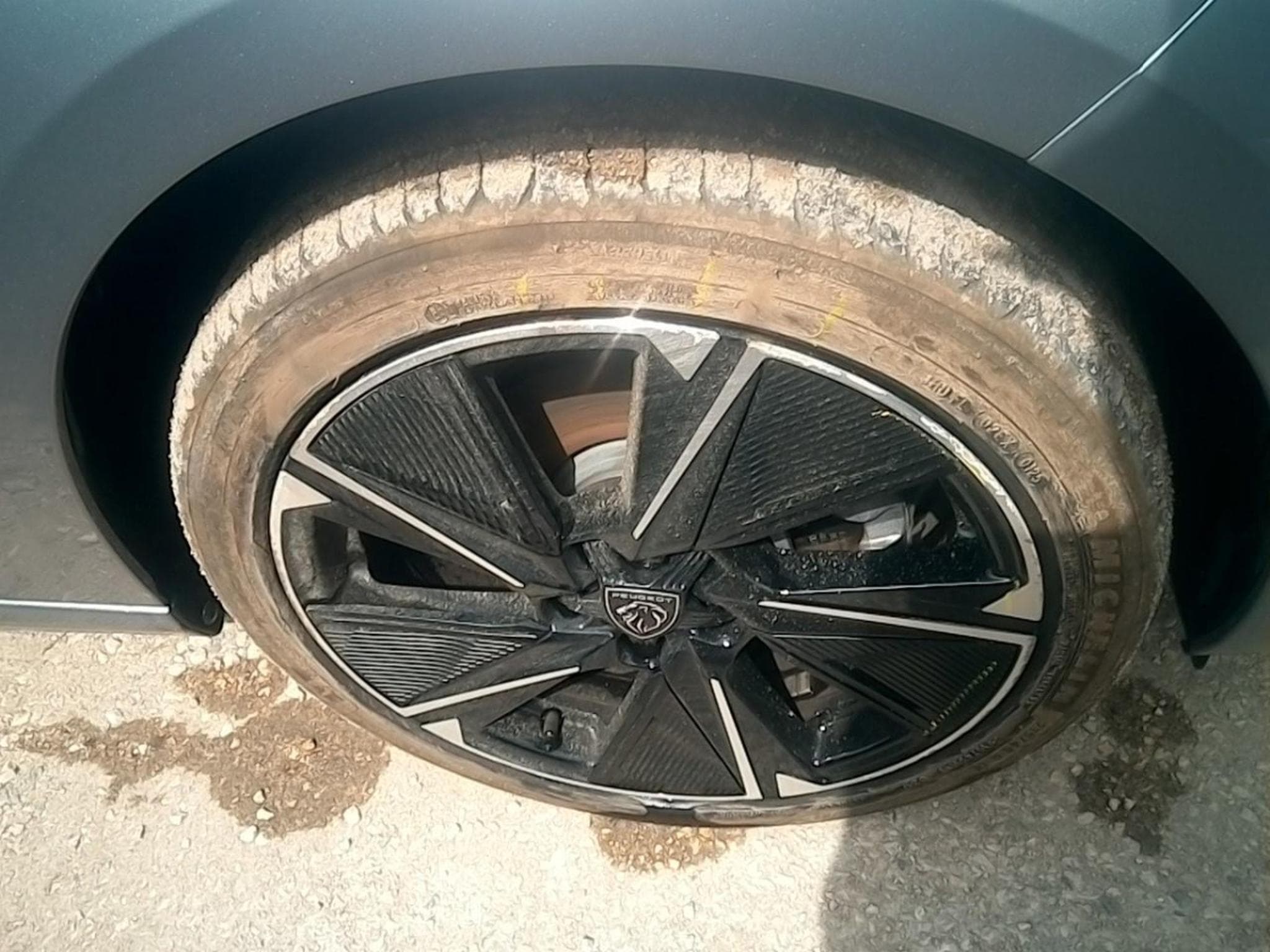 Peugeot 308 Style (2025) - Foto 8
