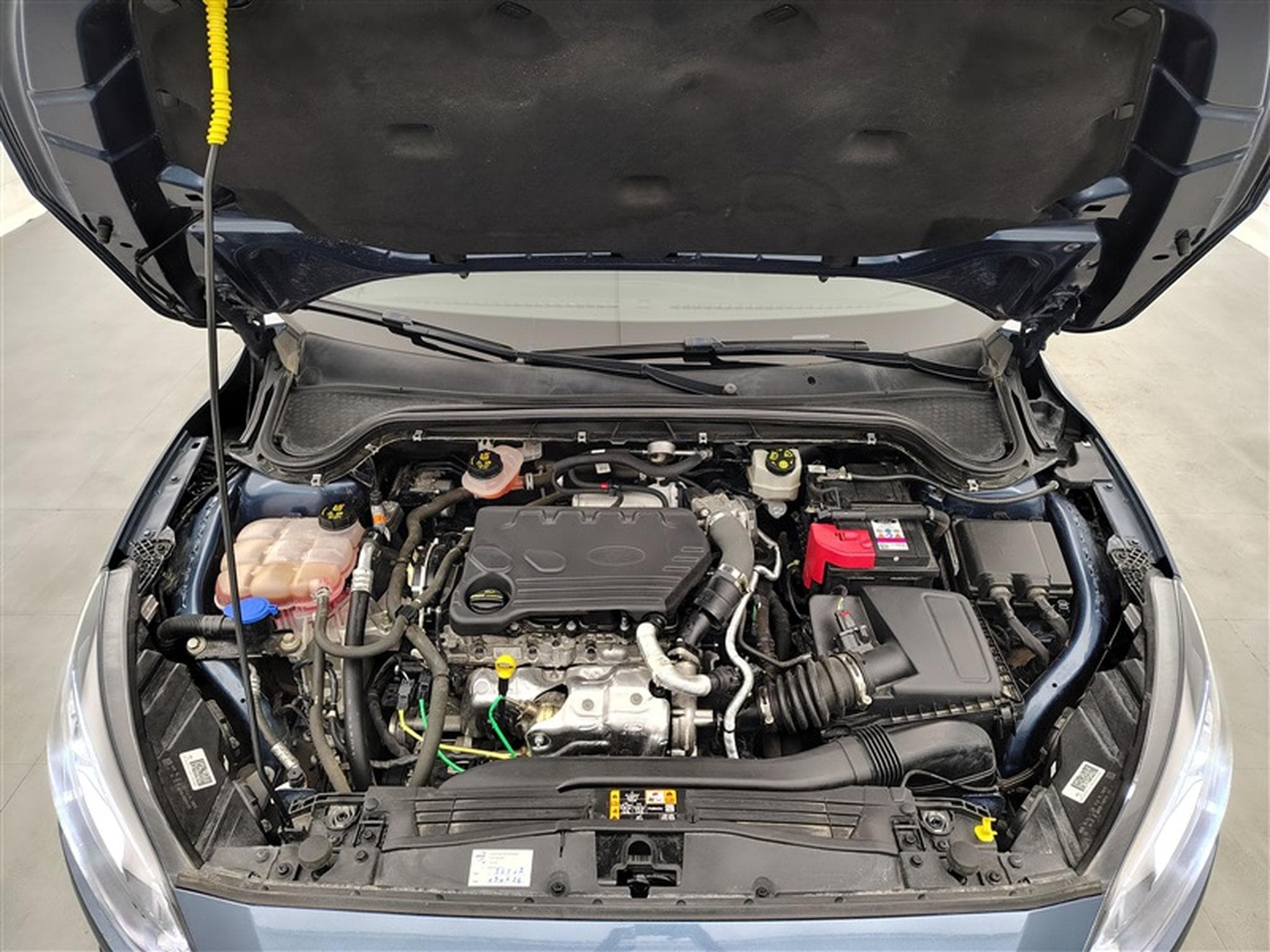Ford Focus Active 1.5 EcoBlue X (EU6d) (2021) - Photo 19