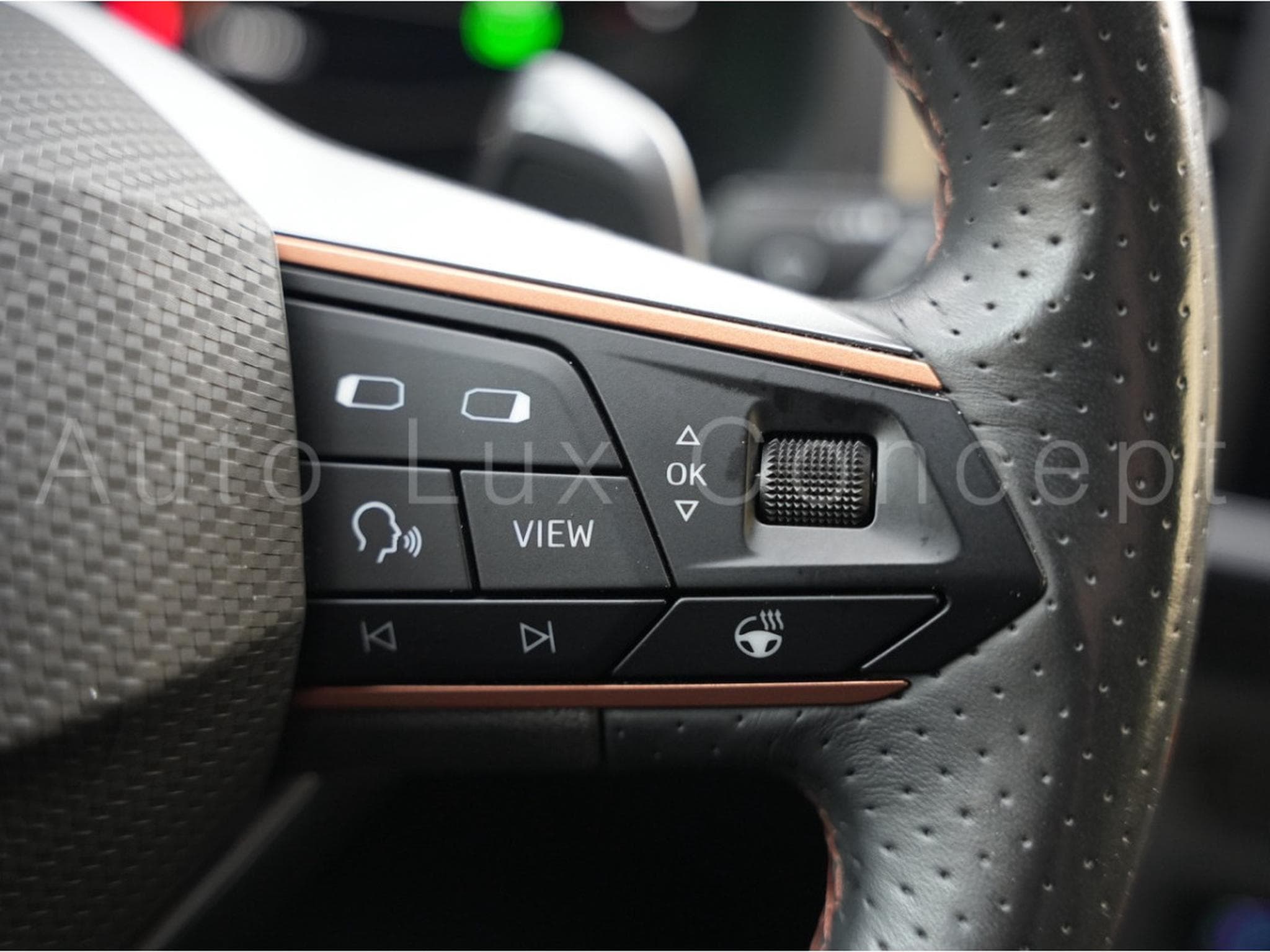 Cupra Ateca 2.0 TSI 4Drive 300 ch DSG 7 (2020) - Photo 15