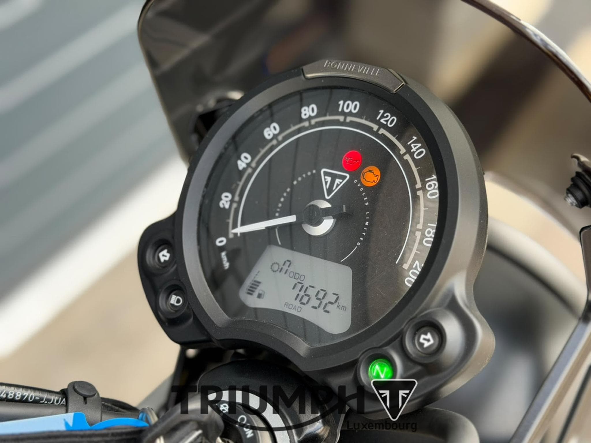 Triumph Scrambler SCRAMBLER 900 (2023) - Foto 8
