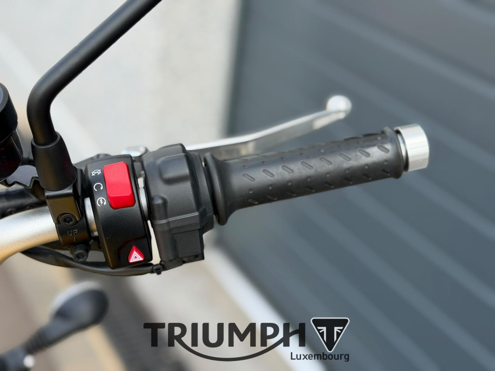 Triumph Scrambler SCRAMBLER 900 (2023) - Foto 9