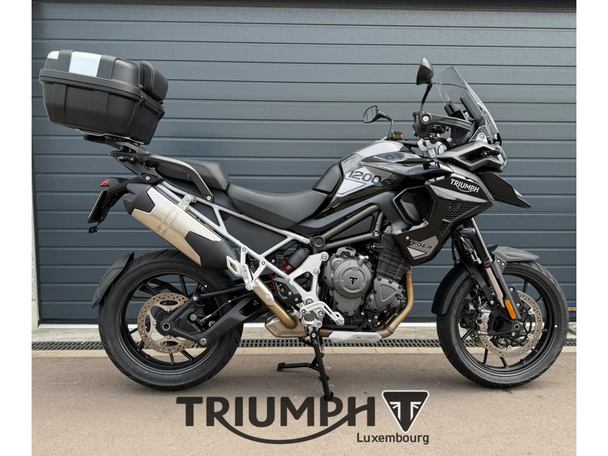 Triumph Tiger TIGER 1200 GT PRO (2026) - Foto 4