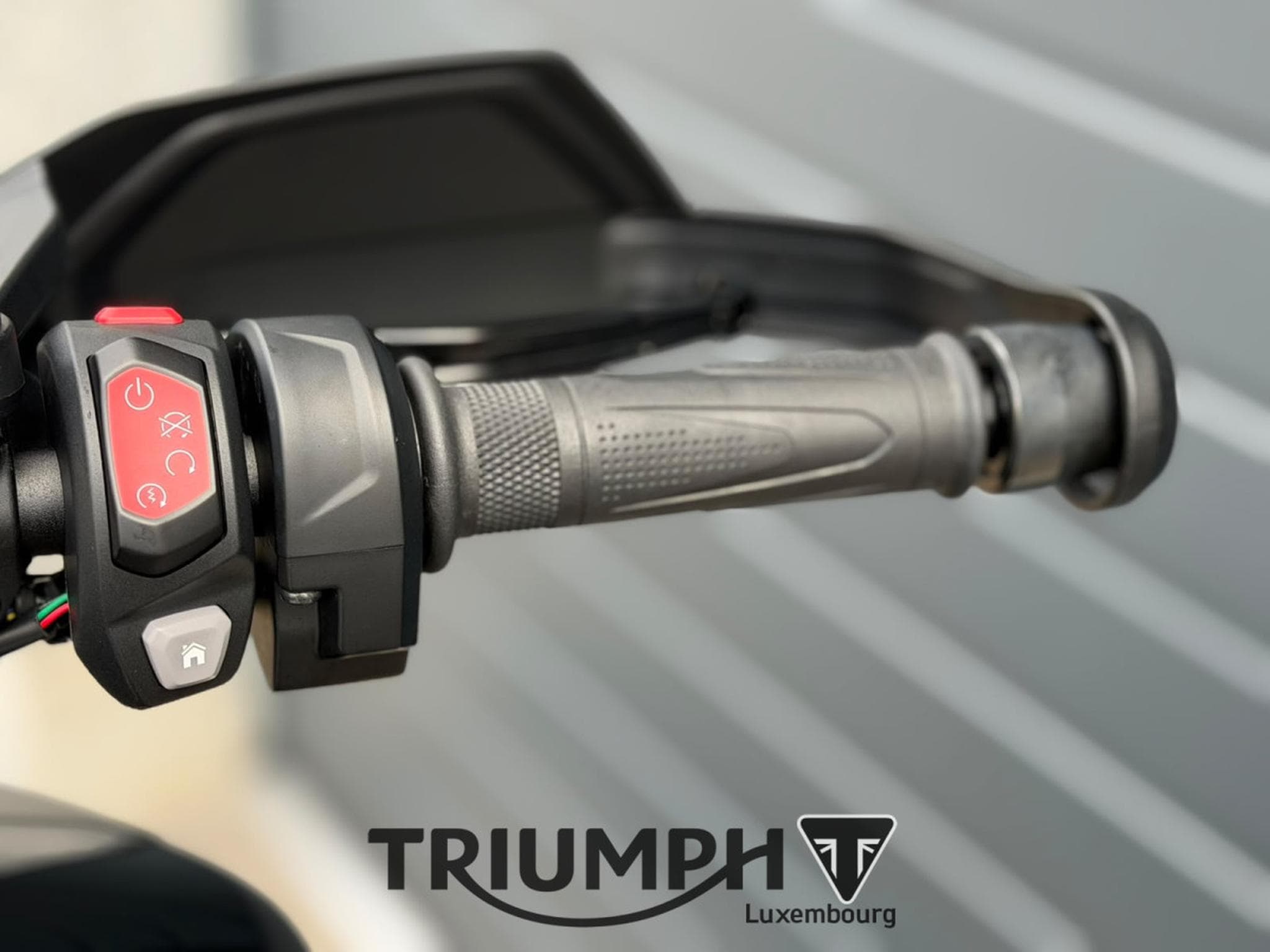 Triumph Tiger TIGER 1200 GT PRO (2026) - Foto 9