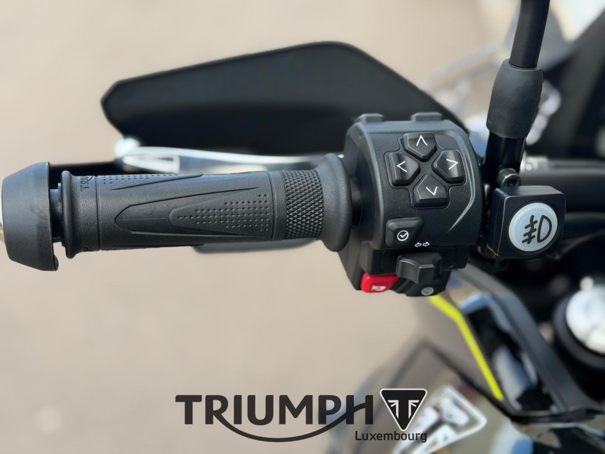 Triumph Tiger TIGER SPORT 800 (2026) - Foto 7