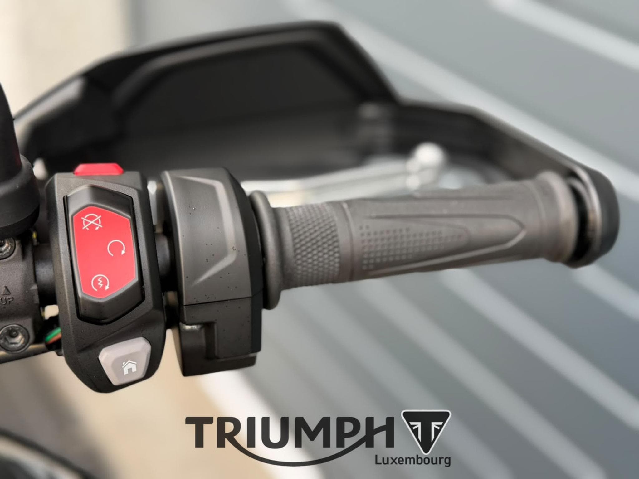 Triumph Tiger TIGER 900 GT PRO (2026) - Foto 9