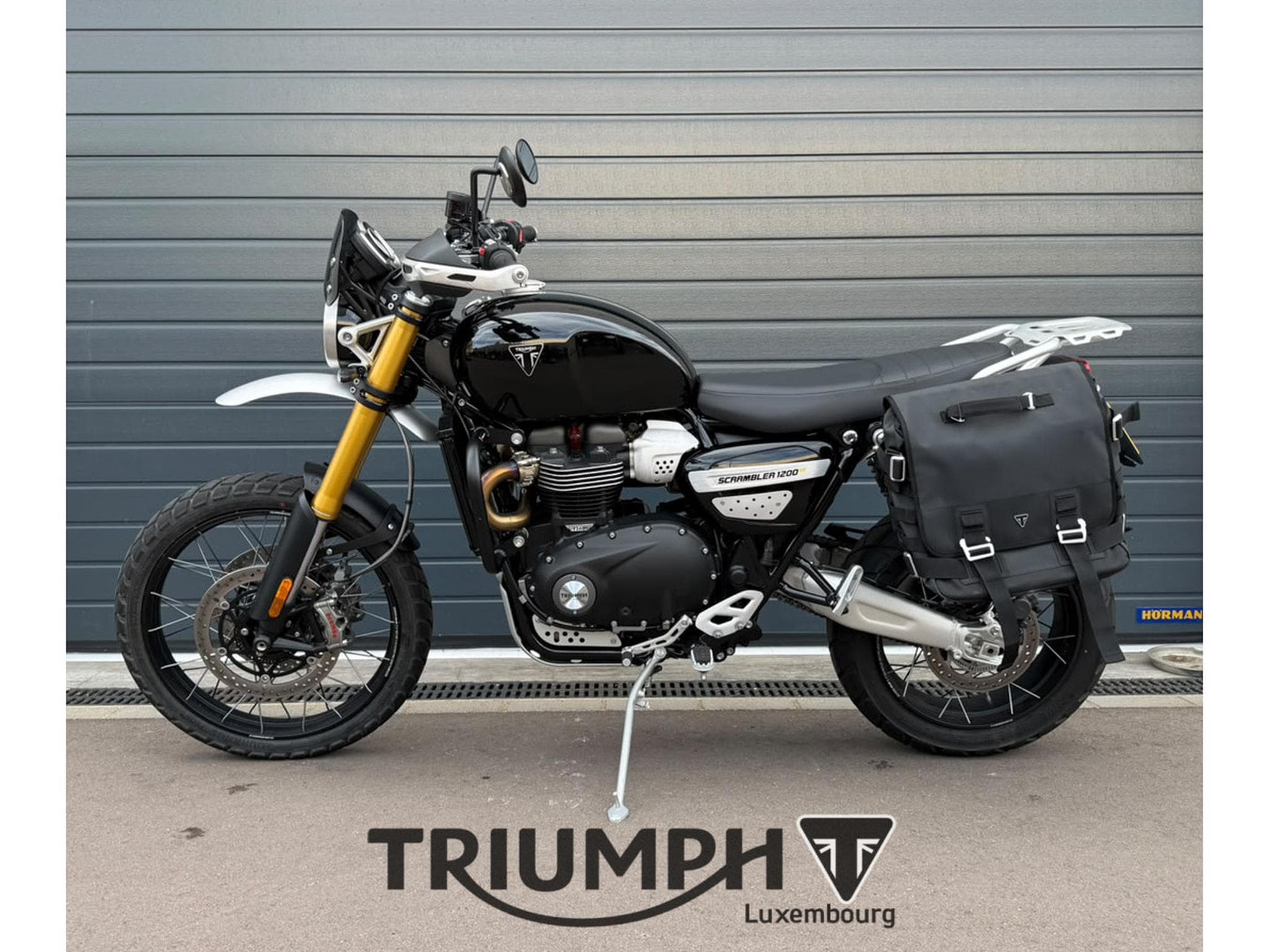 Triumph Scrambler SCRAMBLER 1200 XE (2026) - Foto 1