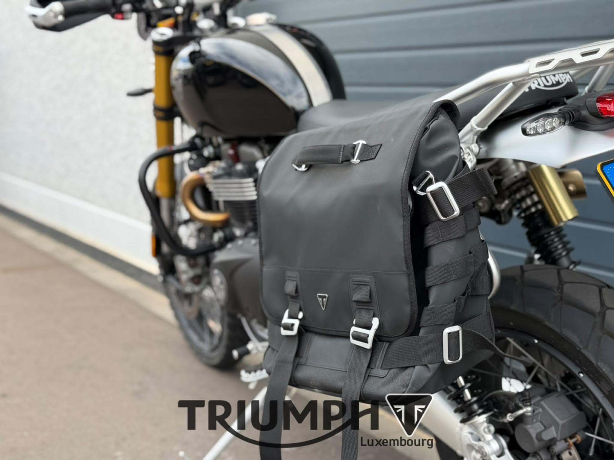 Triumph Scrambler SCRAMBLER 1200 XE (2026) - Foto 13