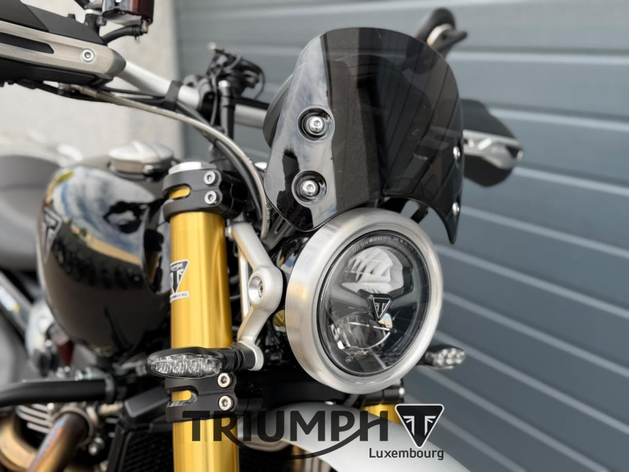 Triumph Scrambler SCRAMBLER 1200 XE (2026) - Foto 15