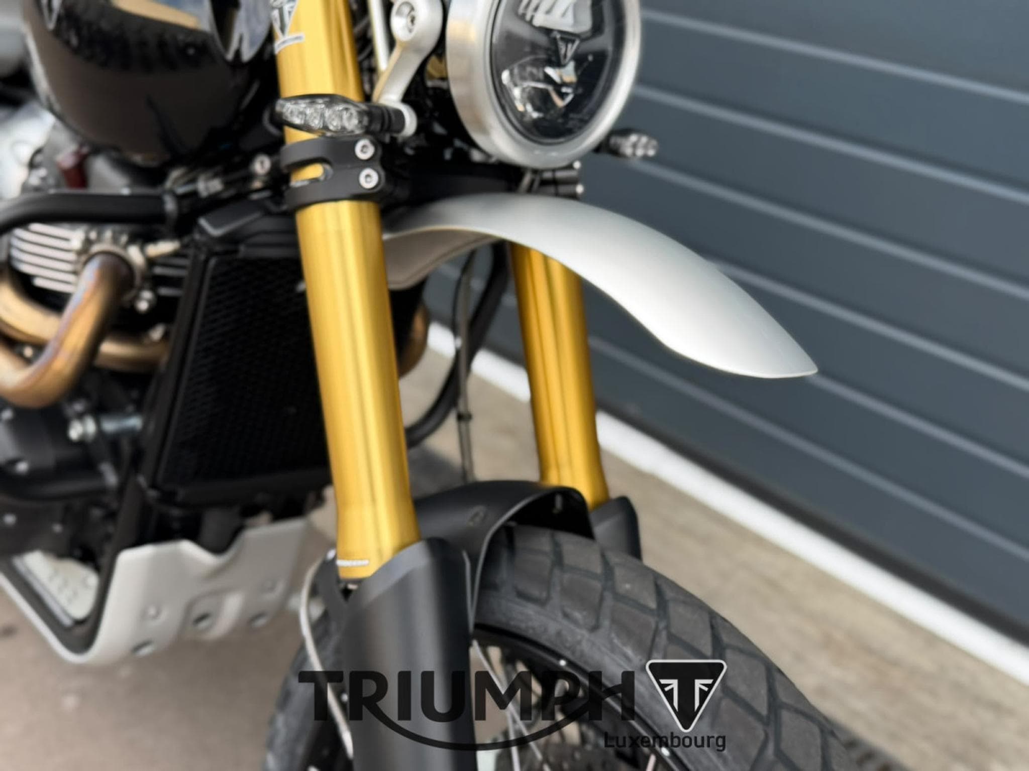 Triumph Scrambler SCRAMBLER 1200 XE (2026) - Foto 16