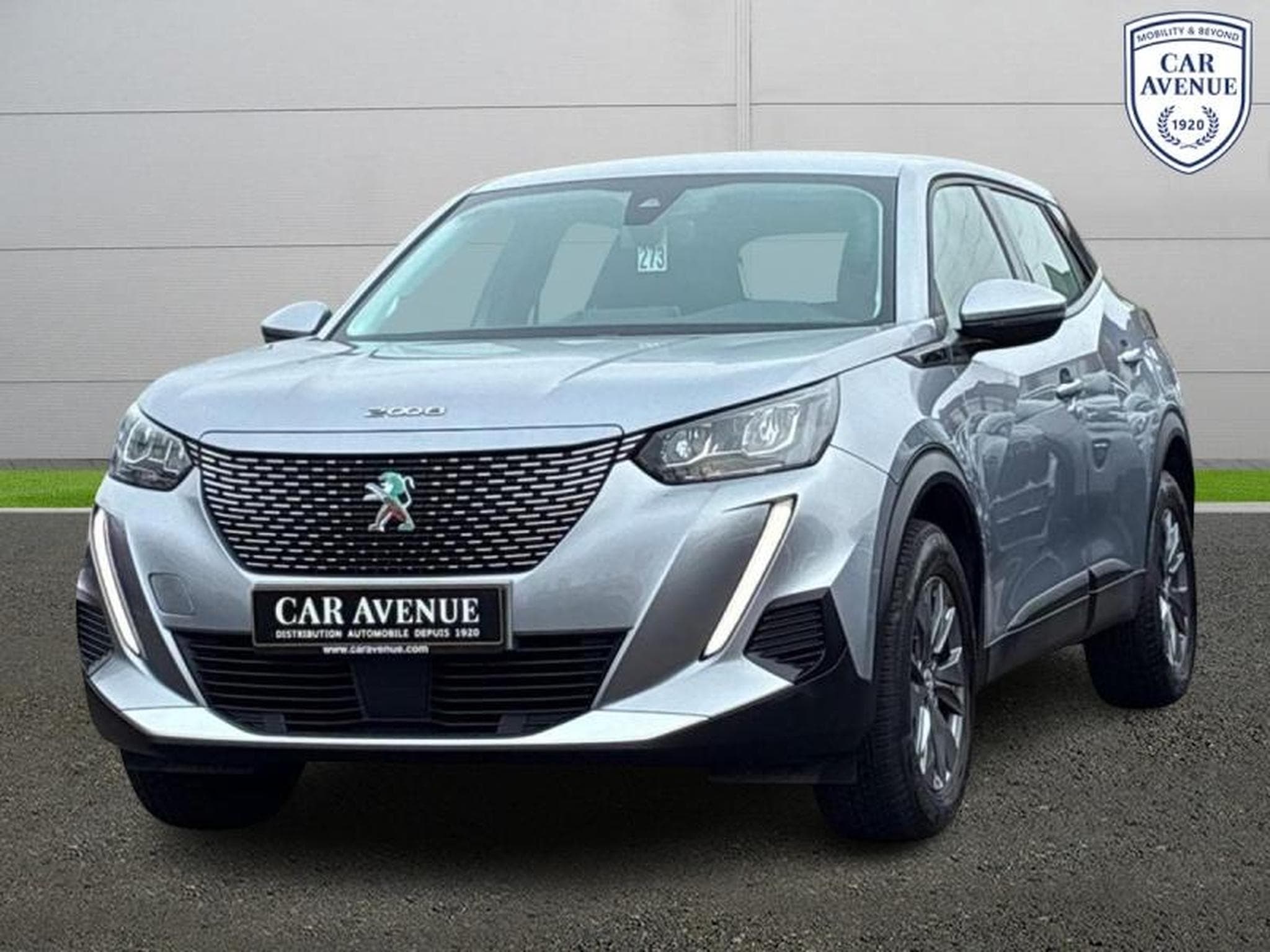 PEUGEOT 2008 e-2008 136ch Active (2021) - Foto 1