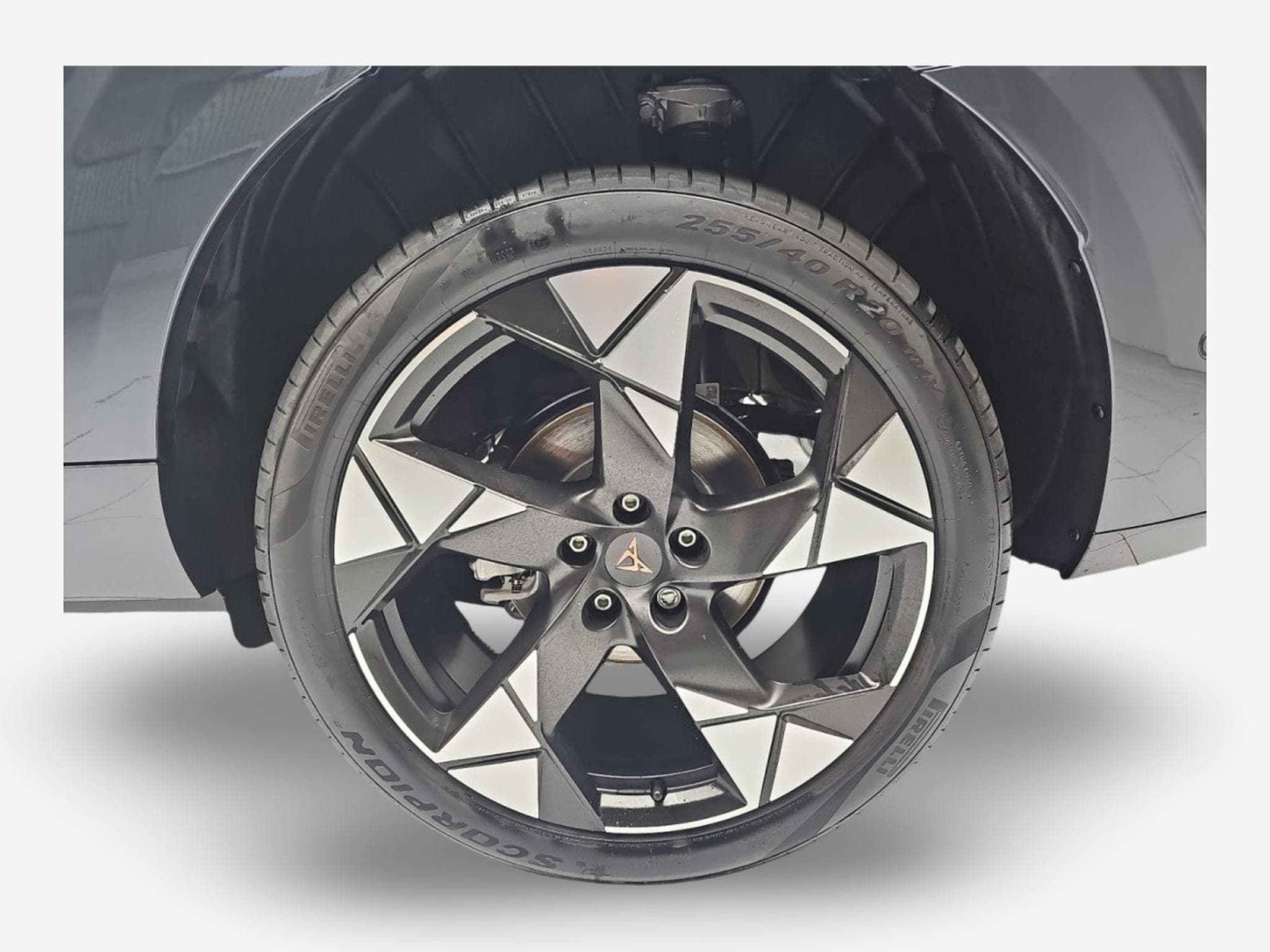 Cupra Terramar 1.5 eTSI DSG 150 (2026) - Photo 6