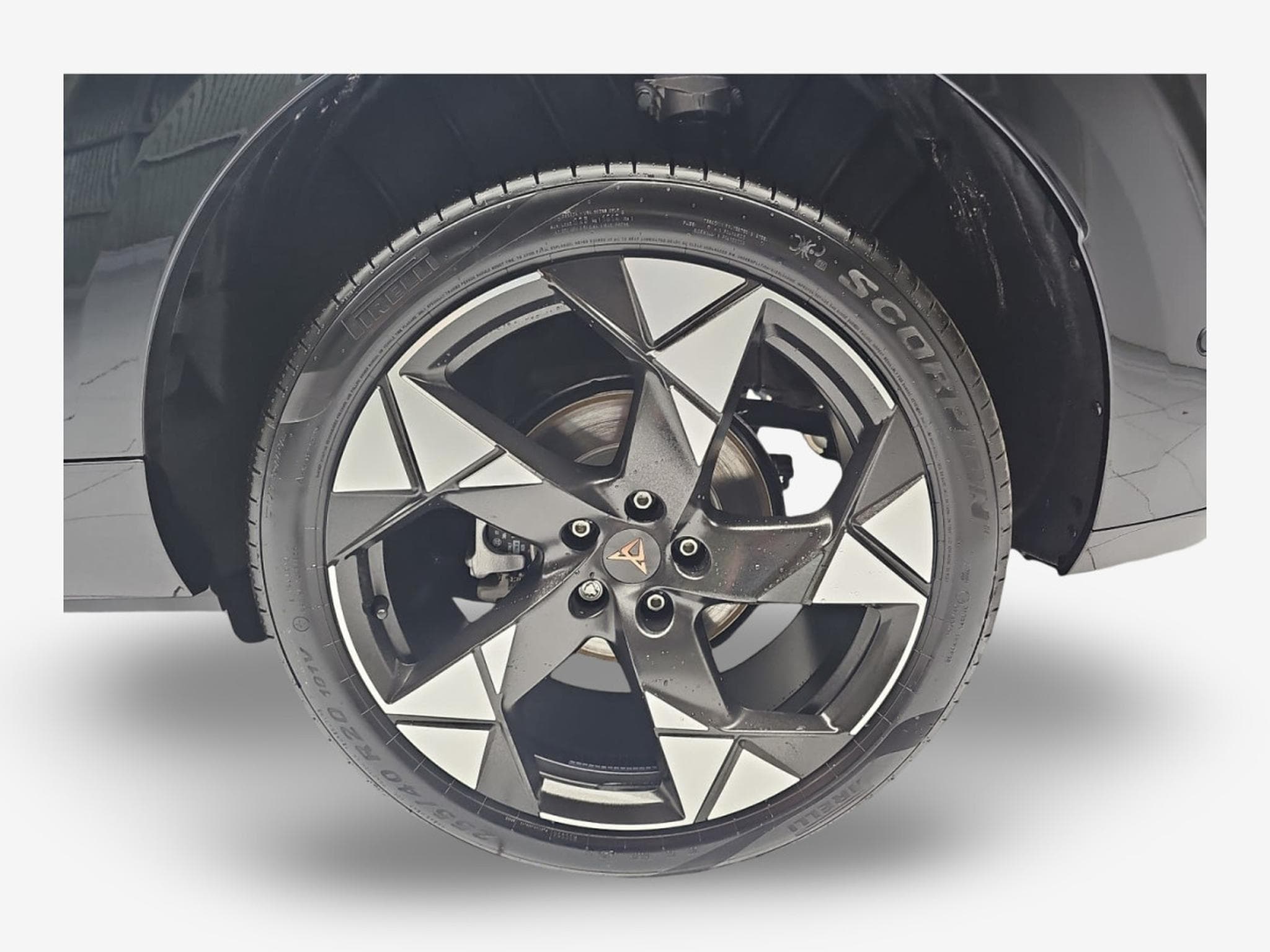 Cupra Terramar 1.5 eTSI DSG 150 (2026) - Photo 6