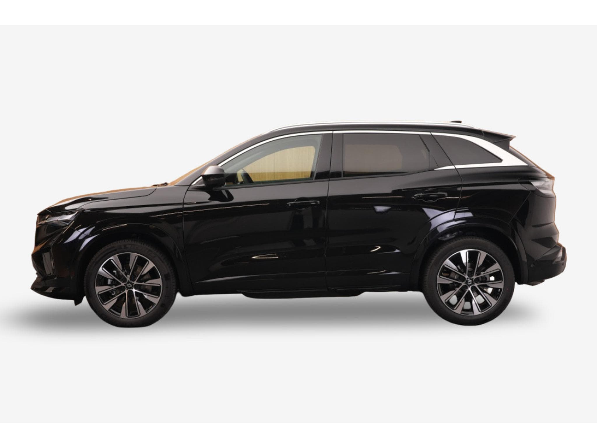 Renault Austral 1.2 E-Tech Full Hybrid  200 Techno (2026) - Photo 4