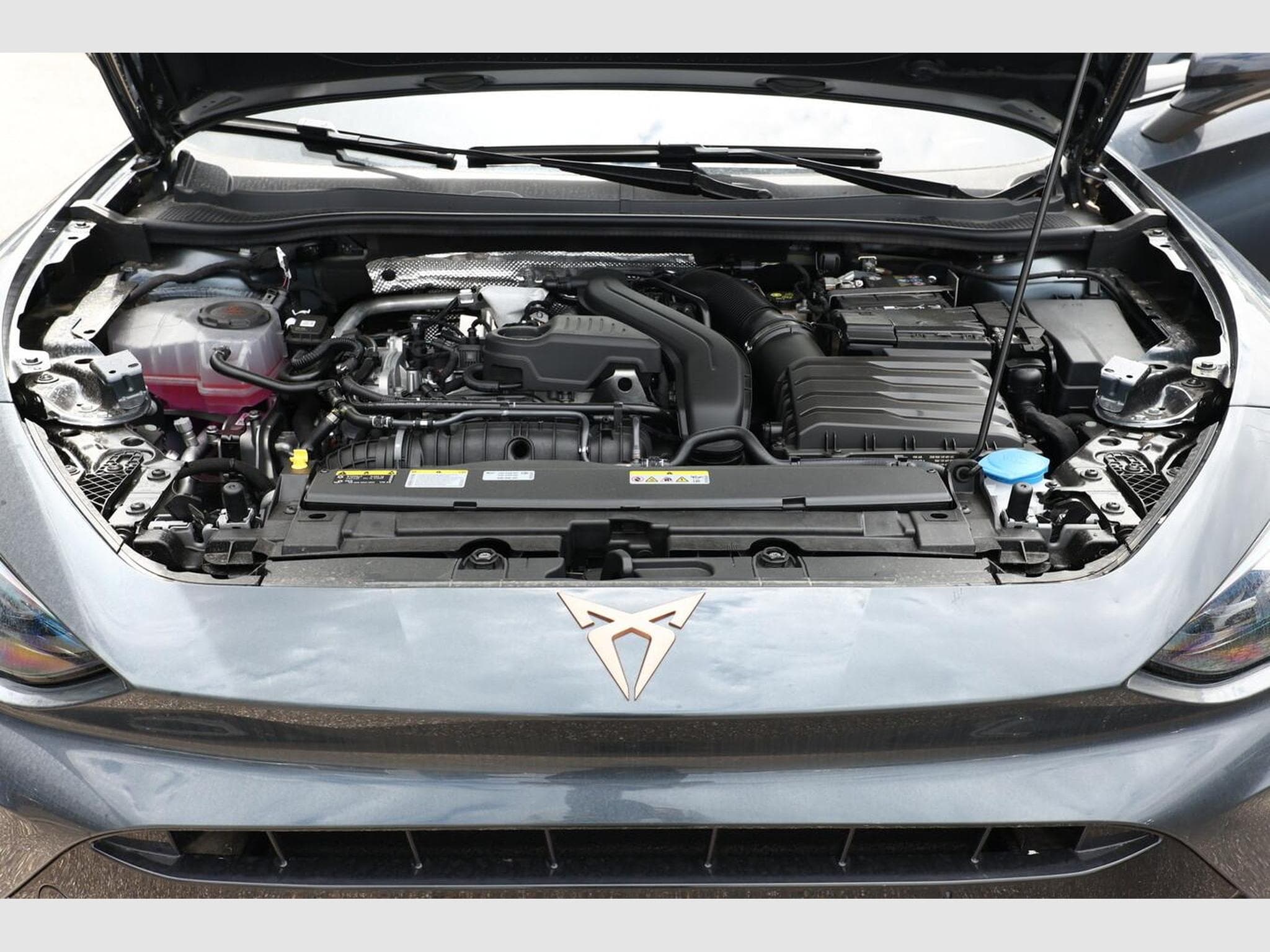 Cupra Leon DSG IntelliD Nav (2026) - Foto 12