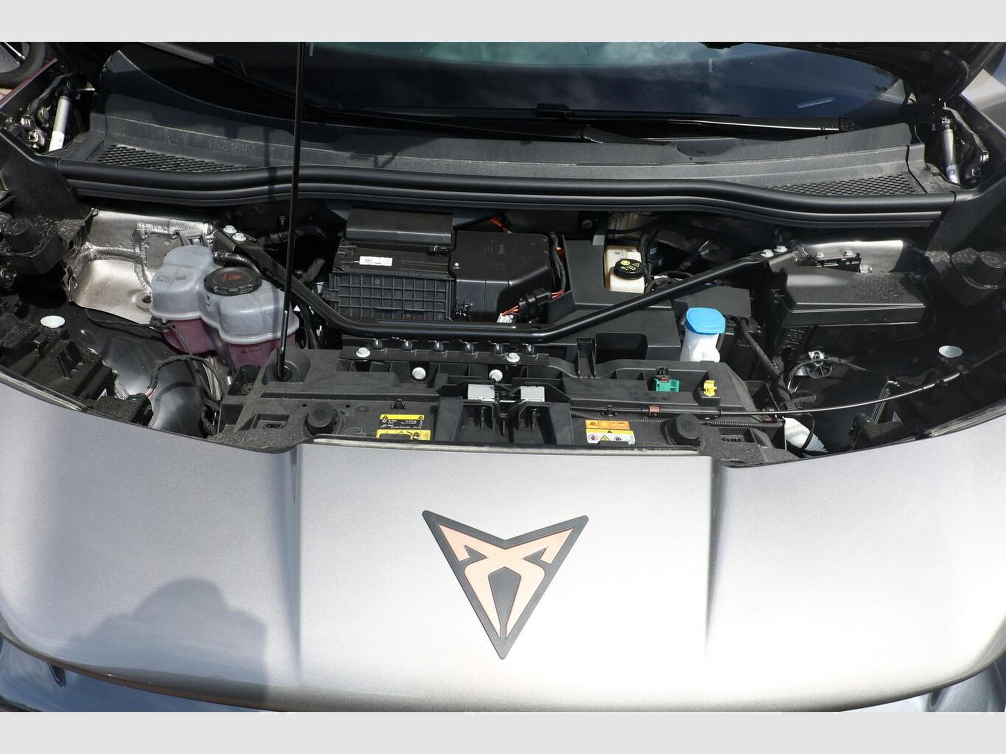 Cupra Tavascan Endurance (2026) - Foto 12