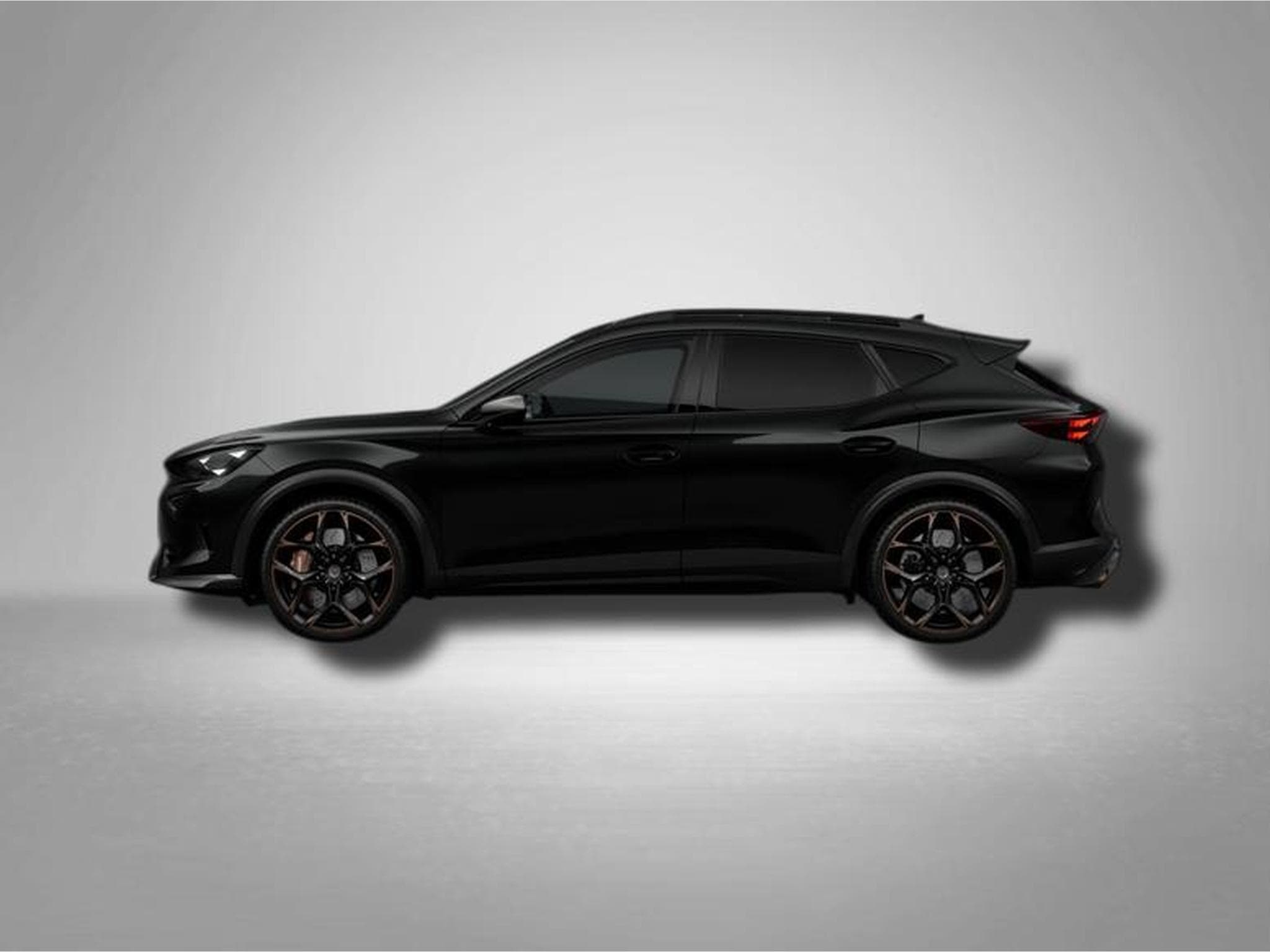 Cupra Formentor VZ5 2.5 TSI 7-Gang-DSG 4Drive (2026) - Photo 2