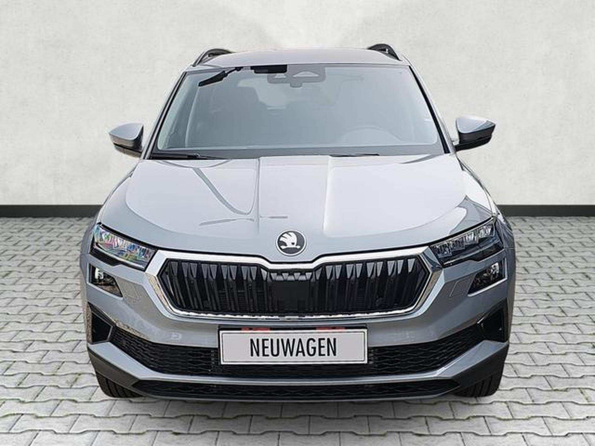 Skoda Karoq Selection (2026) - Photo 2