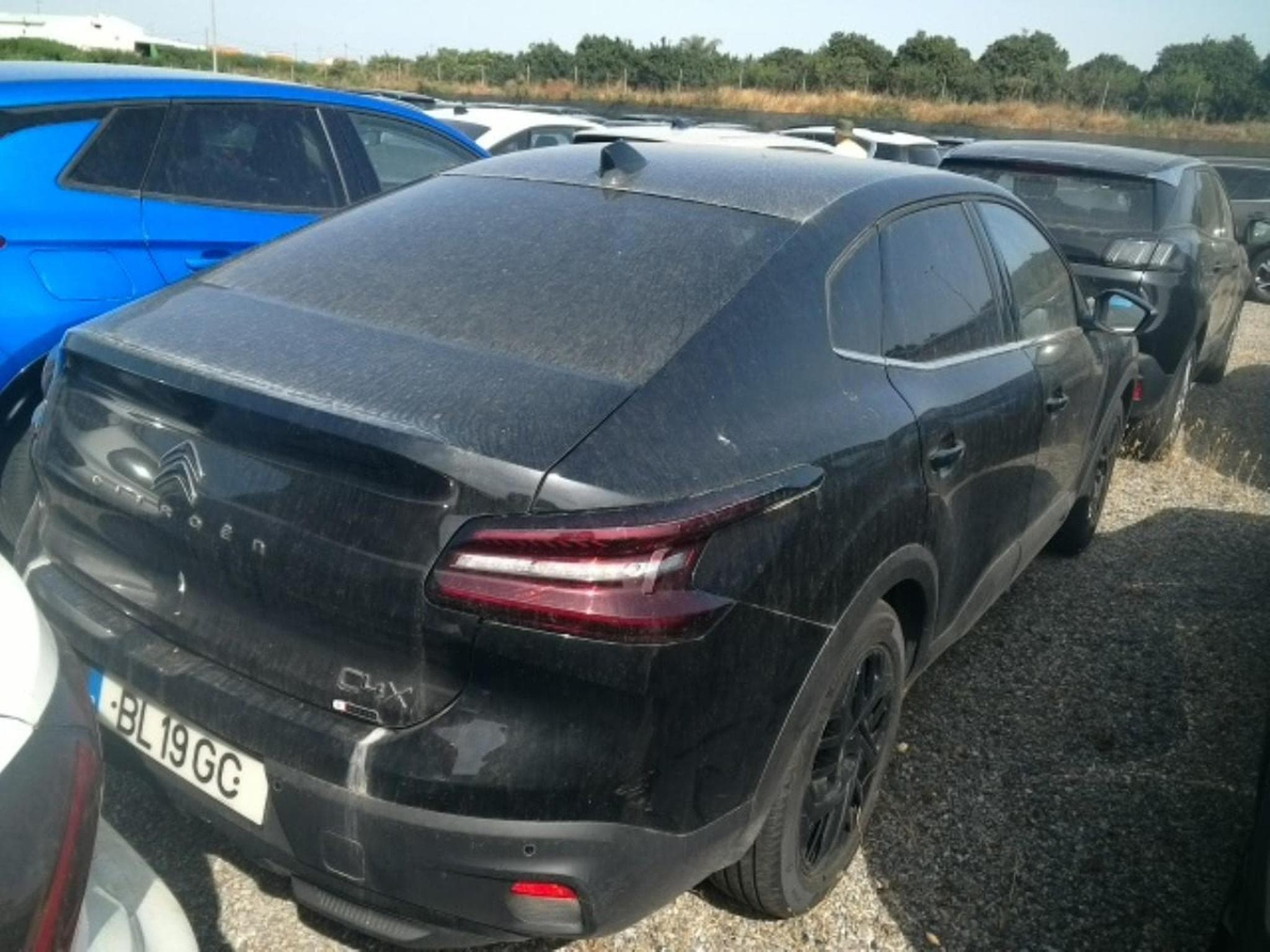 Citroen C4 X Ë-series Collection (2024) - Photo 2