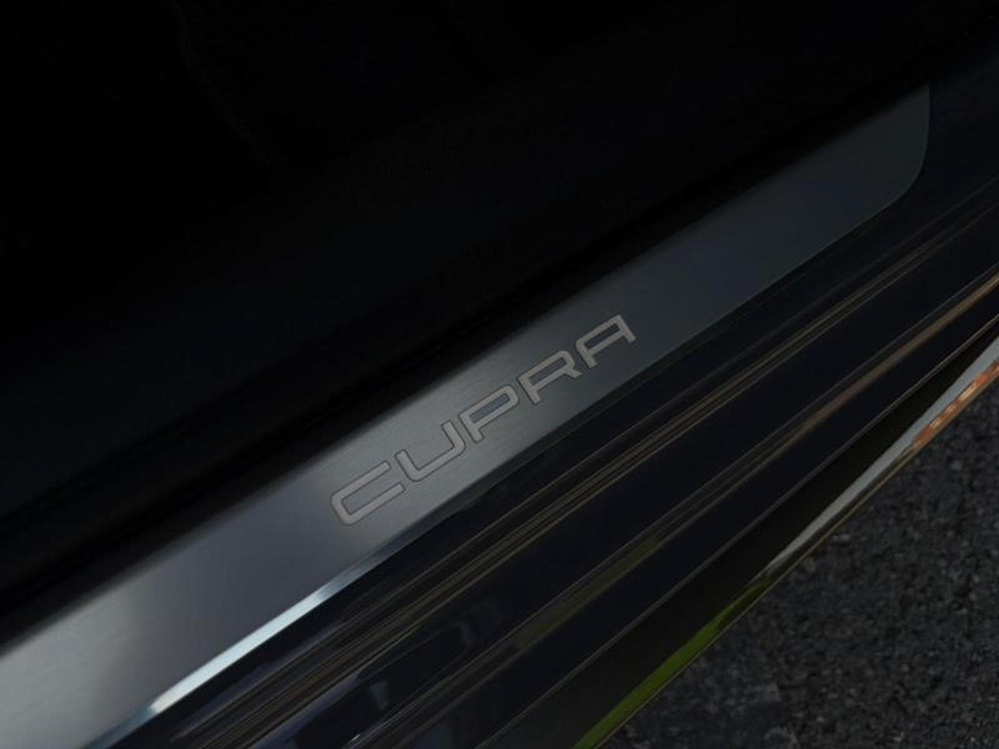 Cupra Leon VZ (2022) - Photo 15
