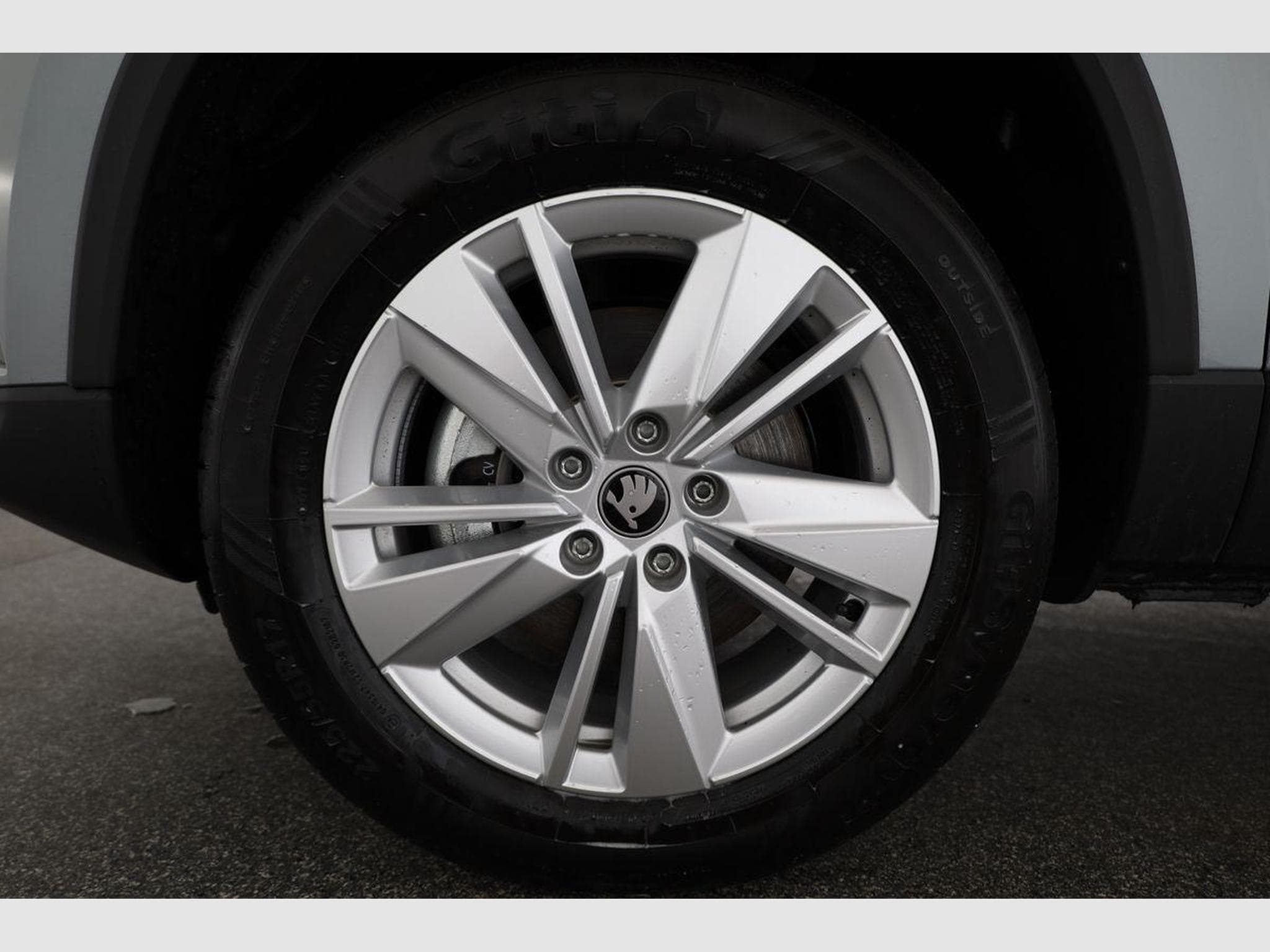 Skoda Karoq Selection 4x4 (2026) - Photo 16
