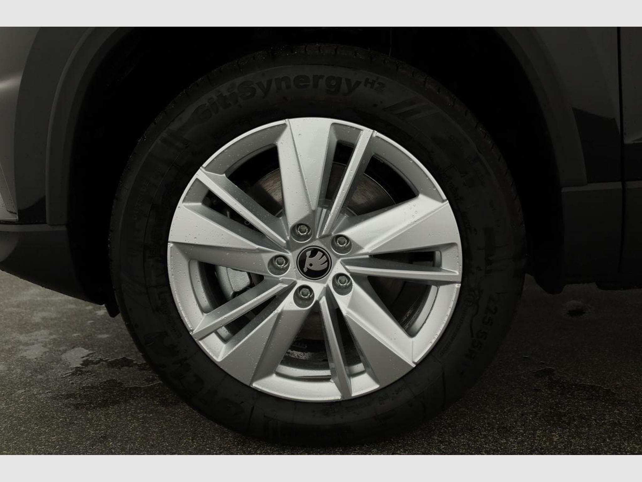Skoda Karoq Selection 4x4 (2026) - Photo 16
