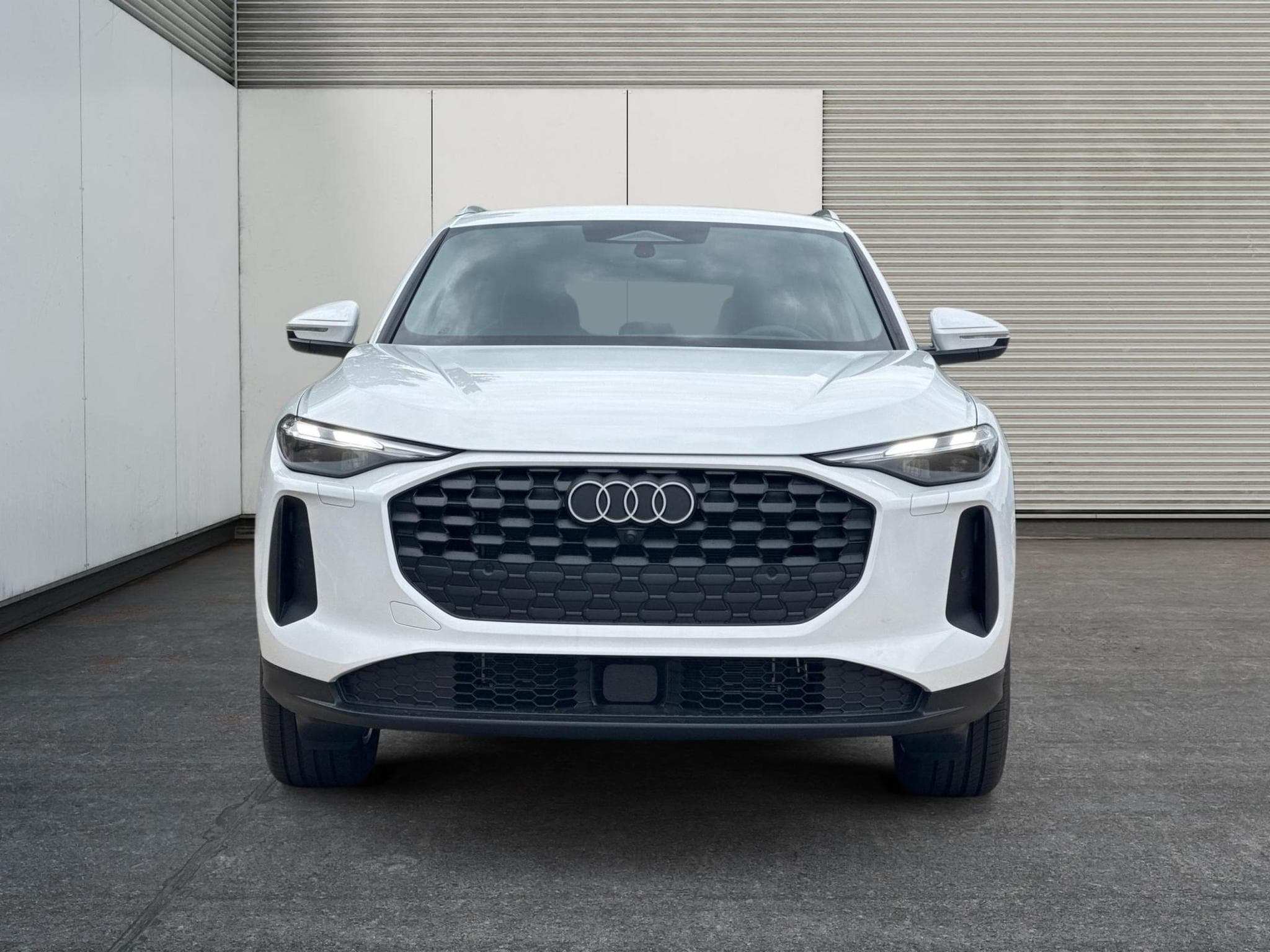 Audi Q5 Basis (2026) - Photo 6