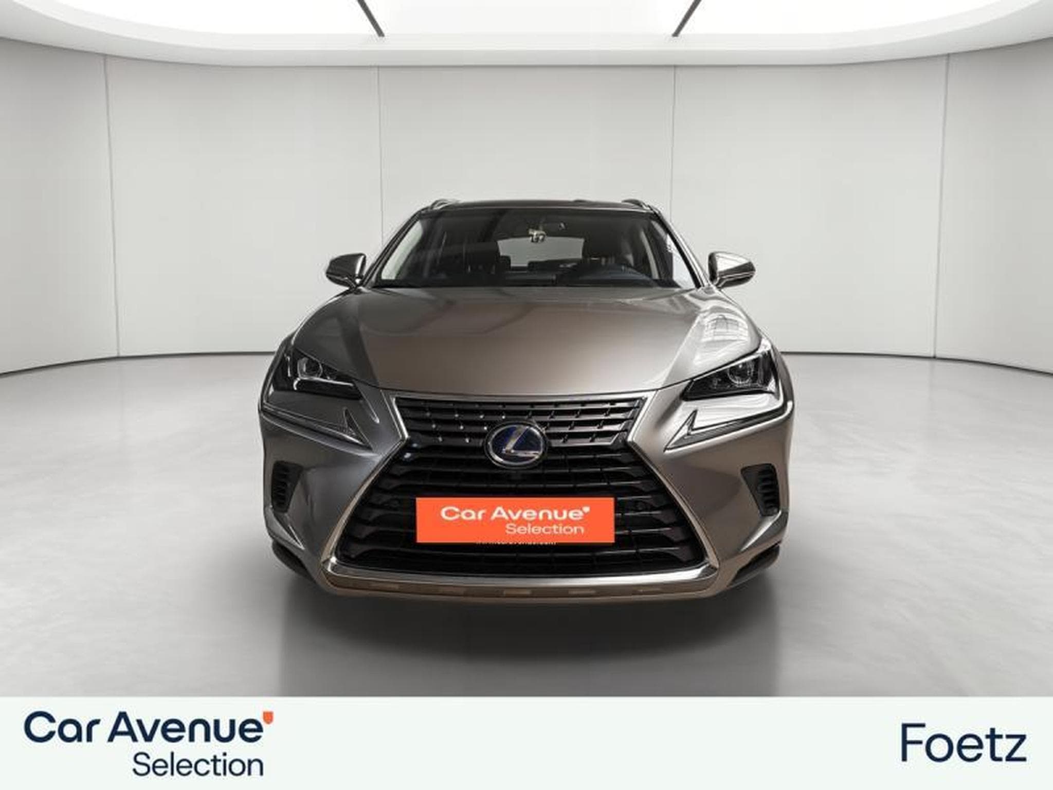 Lexus NX BUSINESS LINE (2018) - Photo 14