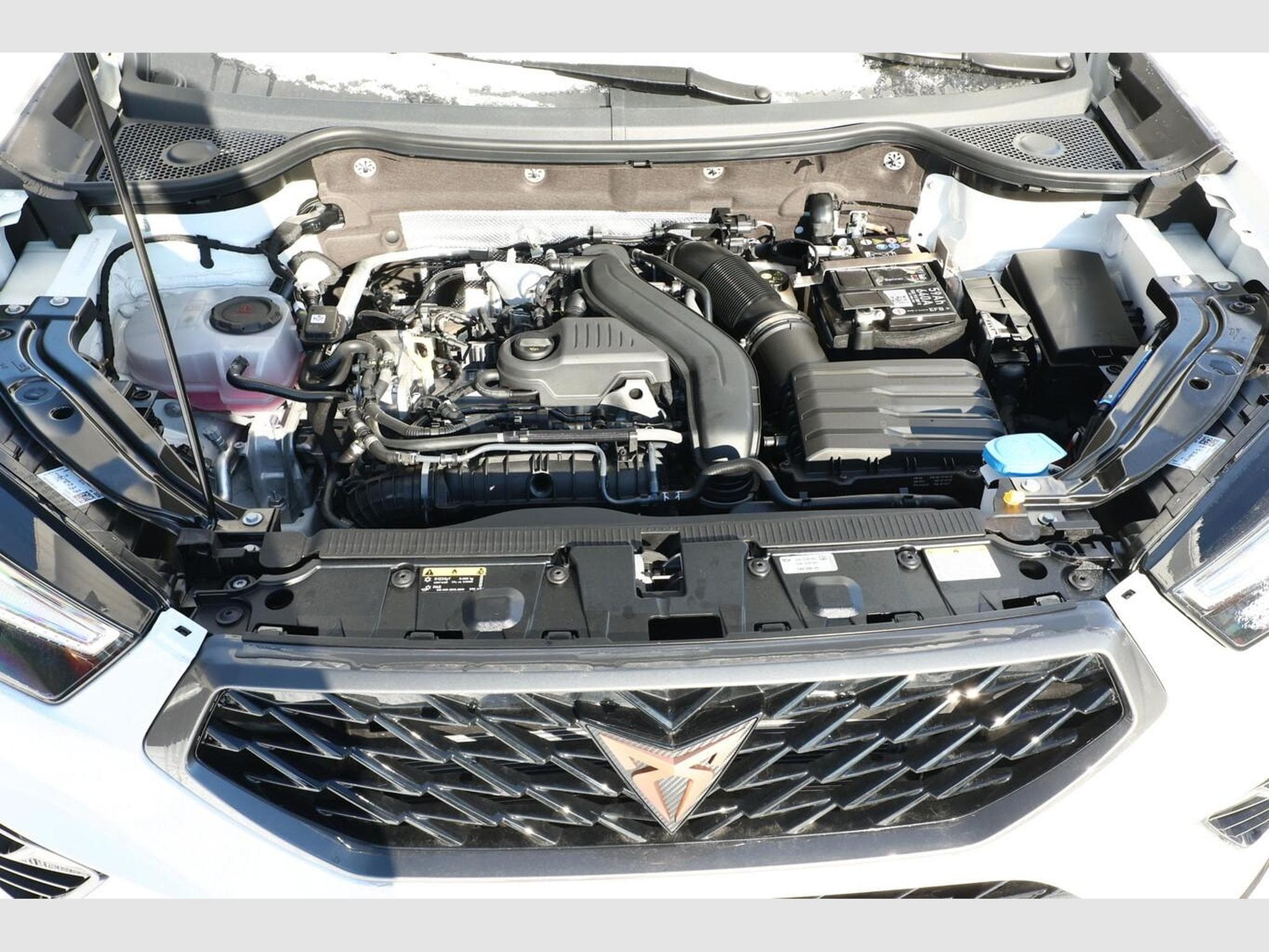 Cupra Ateca DSG 4D Nav (2026) - Photo 11
