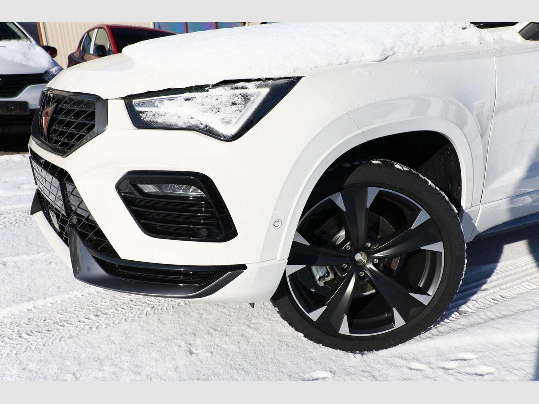 Cupra Ateca DSG 4D Nav (2026) - Photo 5