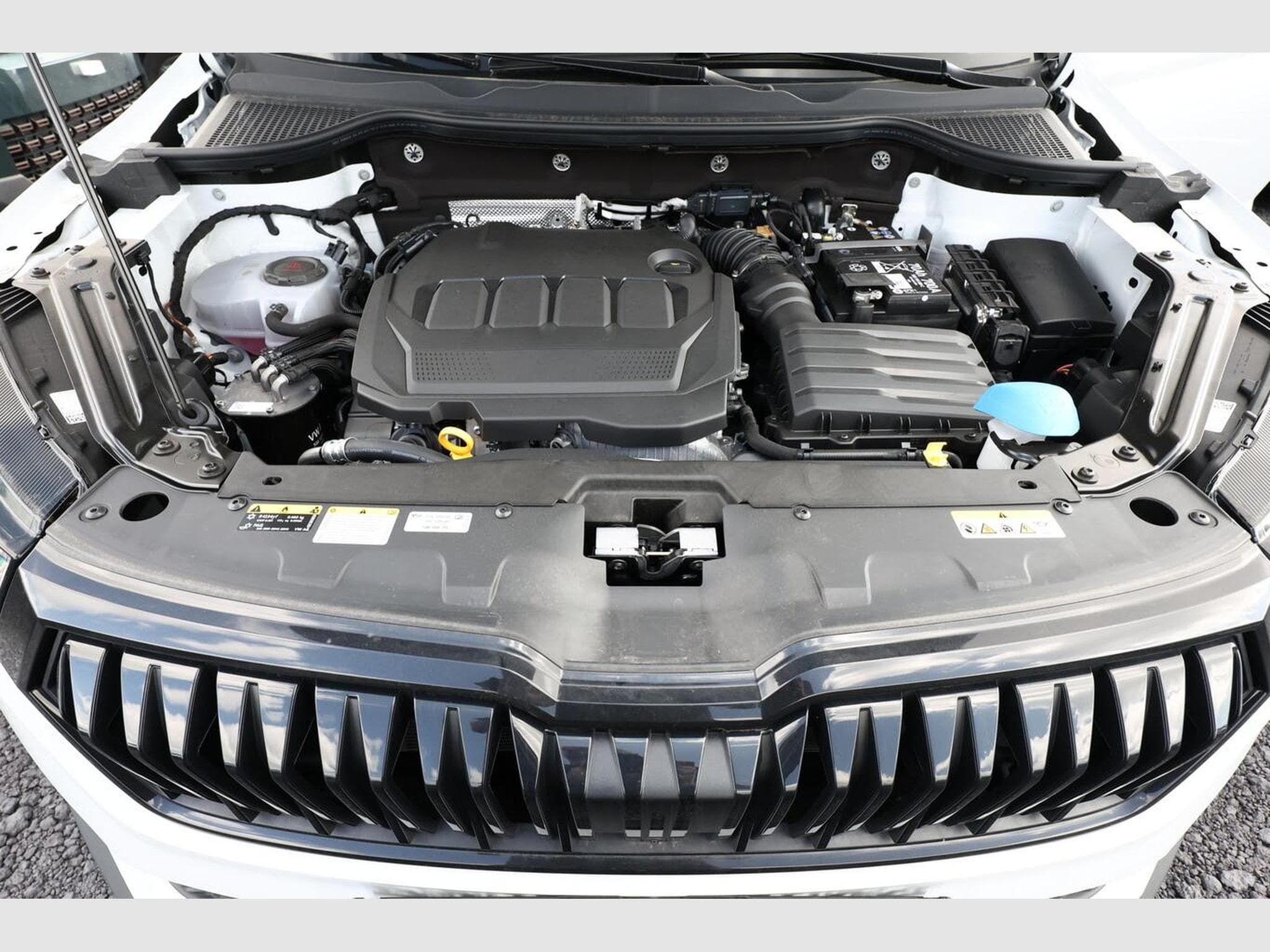 Skoda Karoq Sportline (2026) - Photo 12
