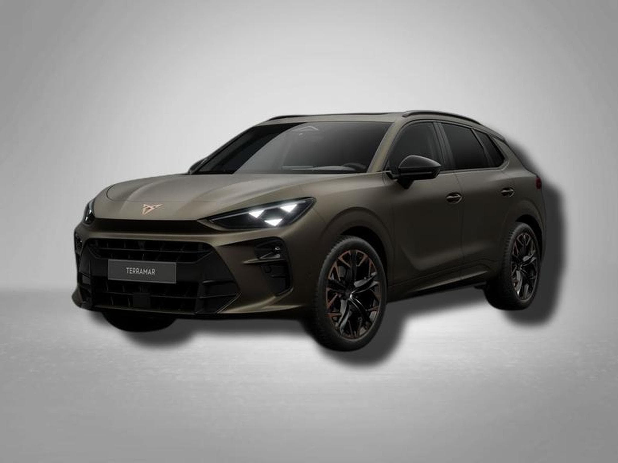 Cupra Terramar VZ 2.0 TSI 7-Gang-DSG 4Drive (2026) - Photo 1
