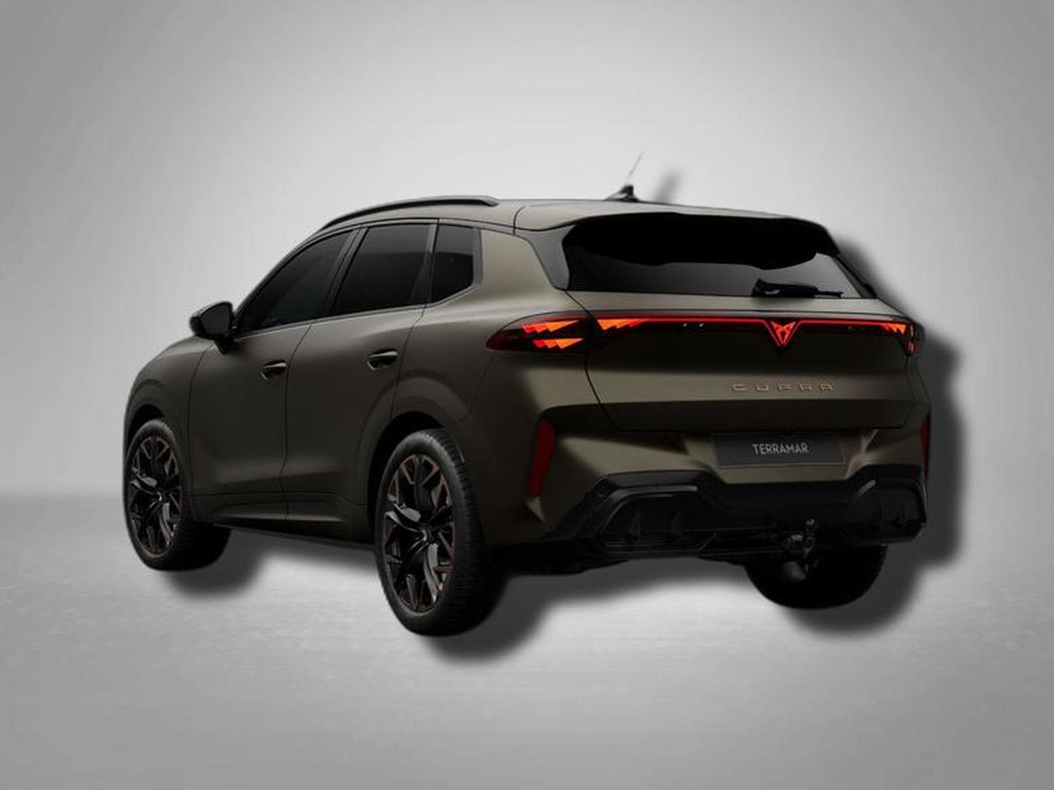 Cupra Terramar VZ 2.0 TSI 7-Gang-DSG 4Drive (2026) - Photo 3
