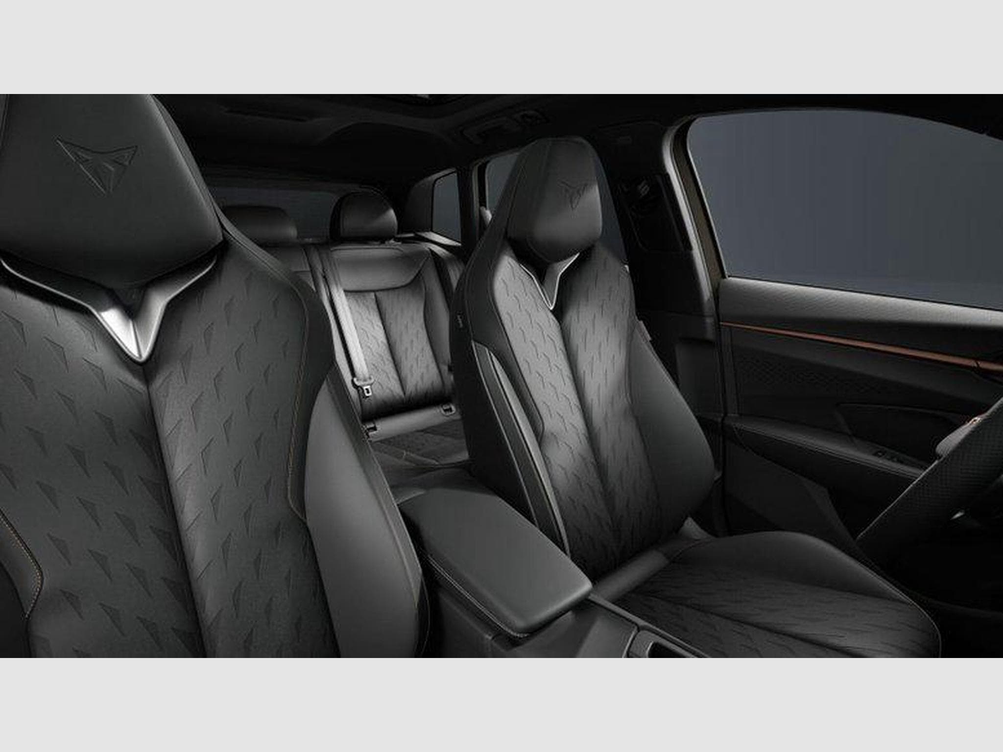 Cupra Terramar VZ 2.0 TSI 7-Gang-DSG 4Drive (2026) - Photo 5