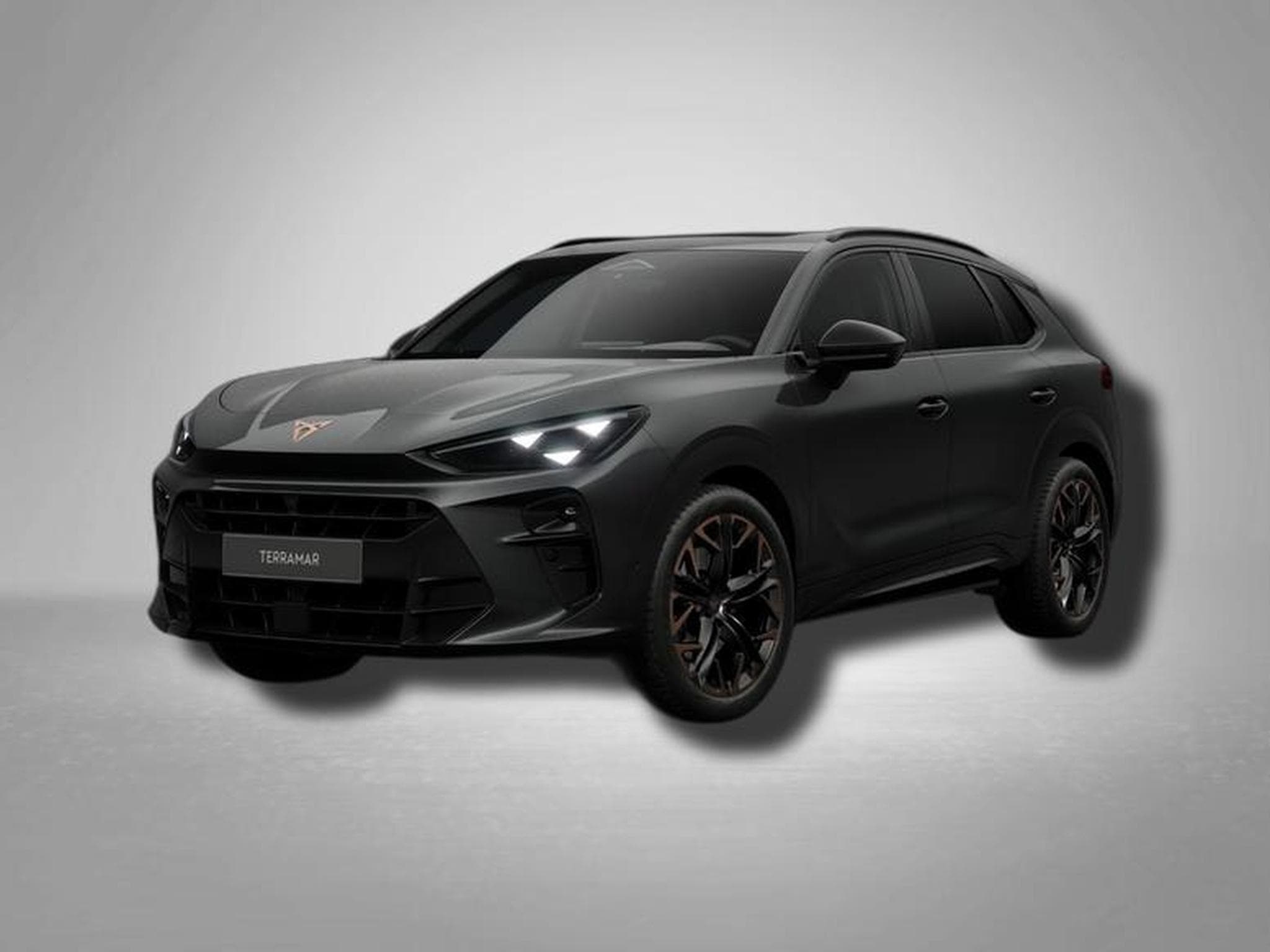Cupra Terramar VZ 2.0 TSI 7-Gang-DSG 4Drive (2026) - Photo 1