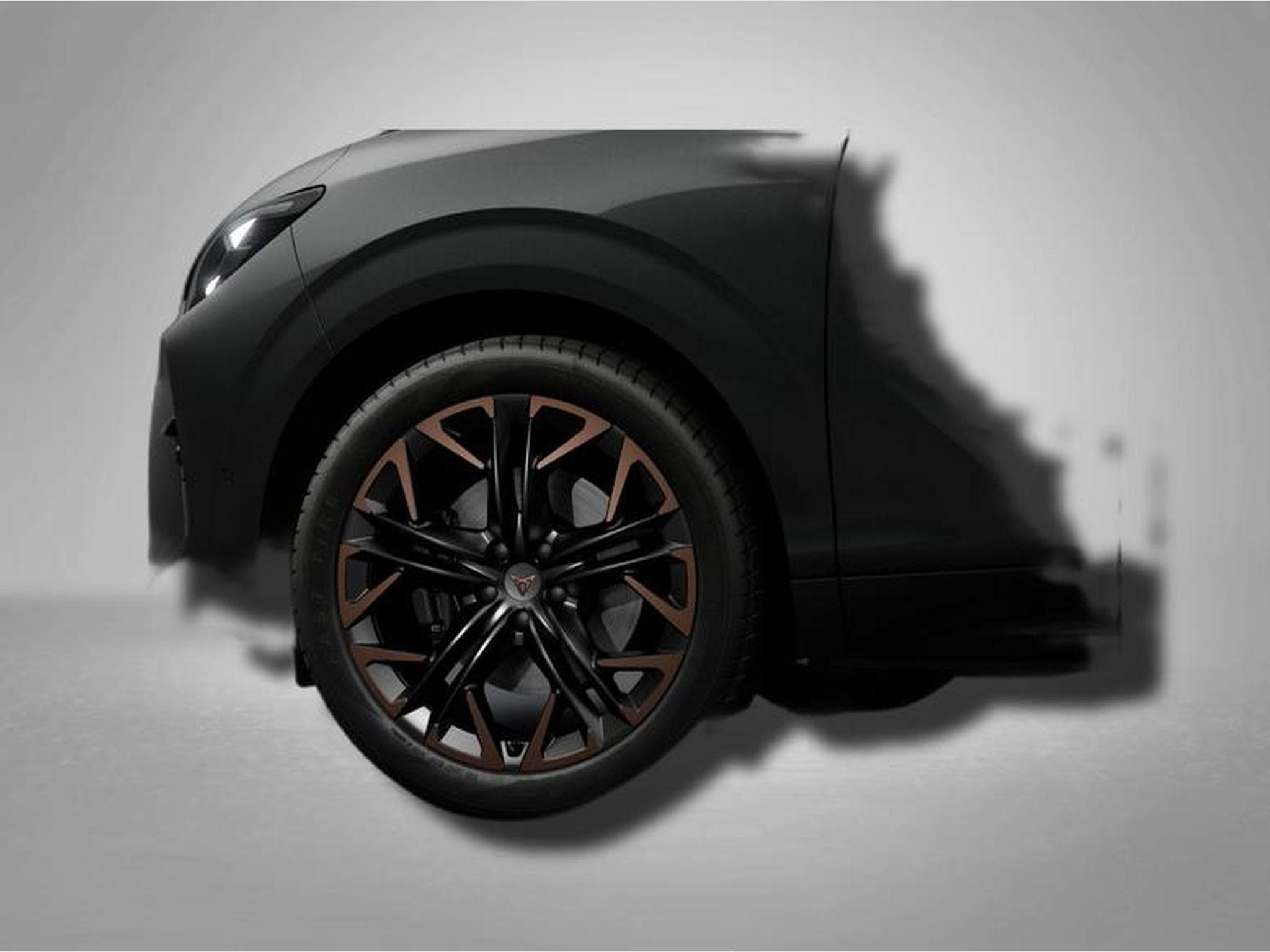 Cupra Terramar VZ 2.0 TSI 7-Gang-DSG 4Drive (2026) - Photo 4