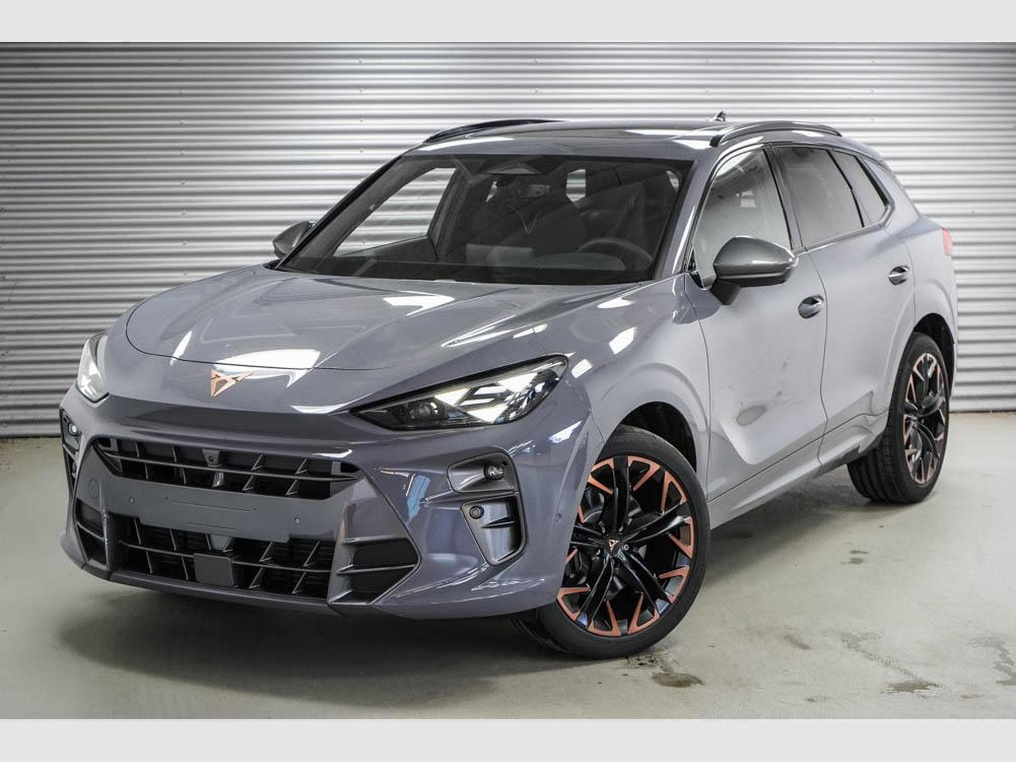Cupra Terramar 2,0 TSI DSG (2025) - Photo 1