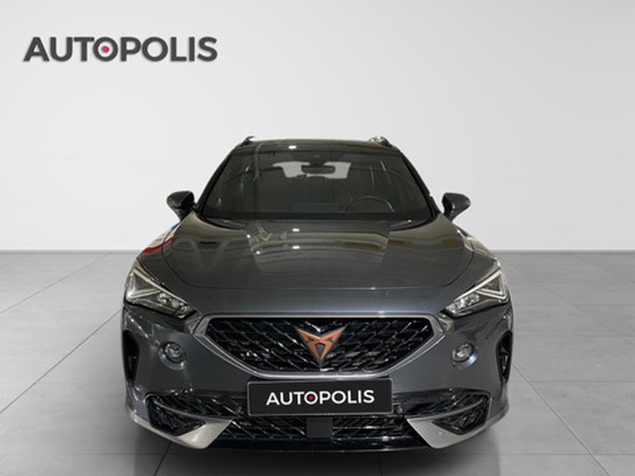 Cupra Formentor 2.0 4Drive TSI 140kW DSG (2022) - Foto 14