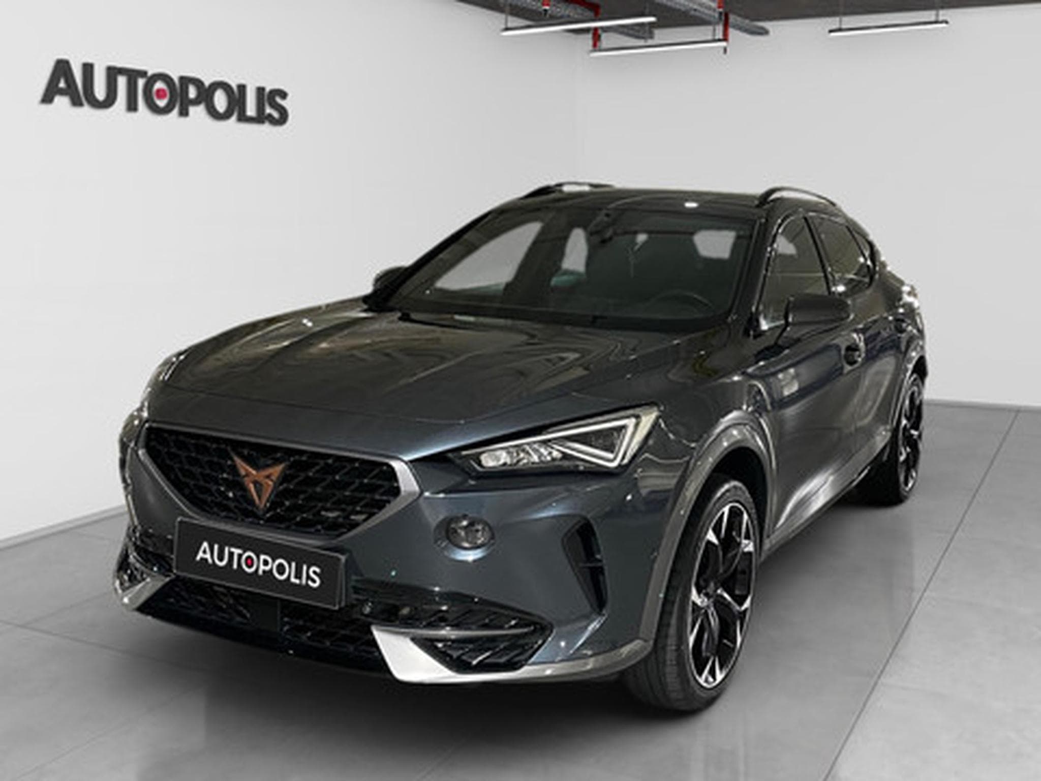 Cupra Formentor 2.0 4Drive TSI 140kW DSG (2022) - Foto 17