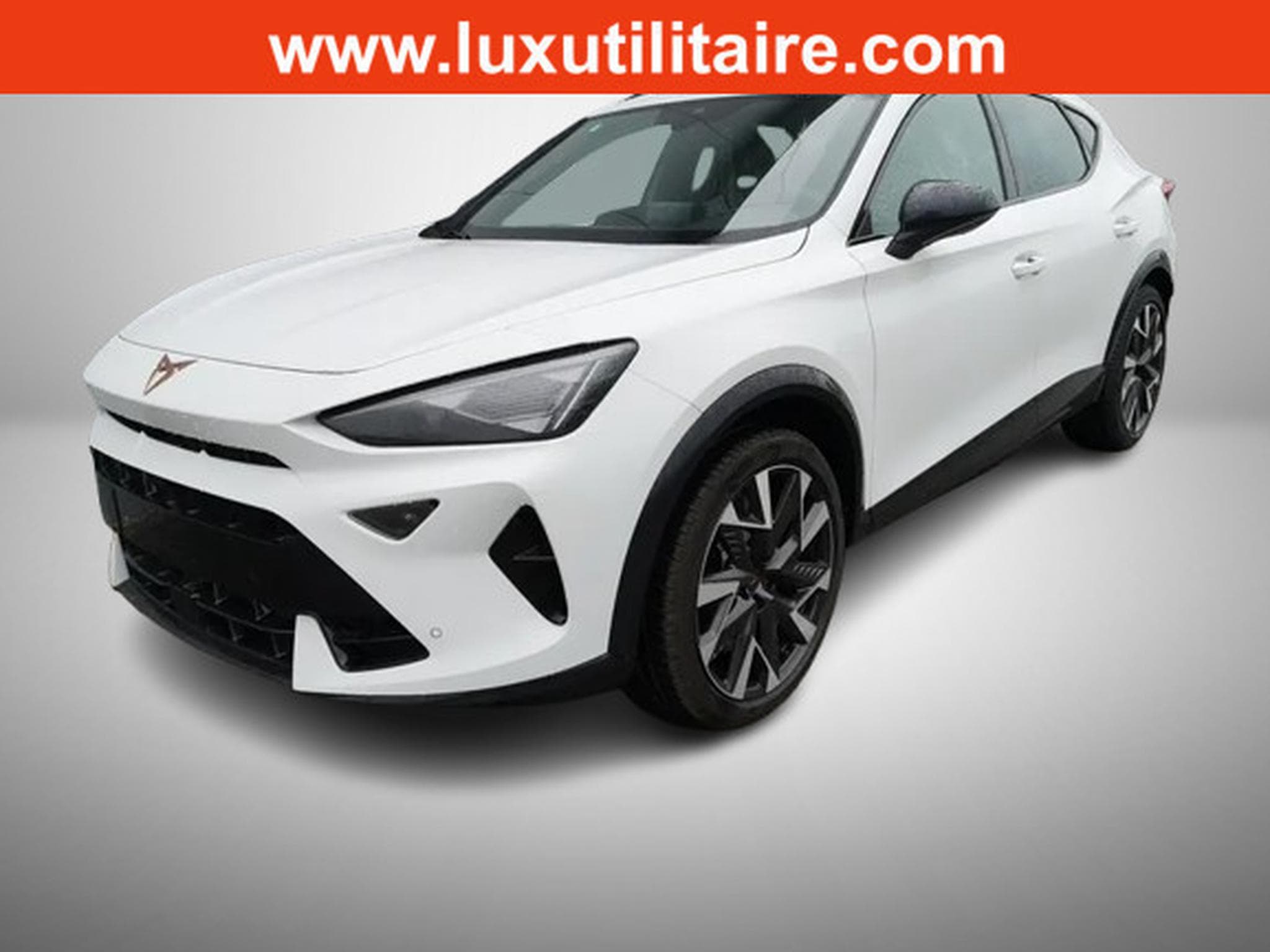 Cupra Formentor 2.0 TSi DSG 333 Facelift 4DRIVE (2025) - Foto 1