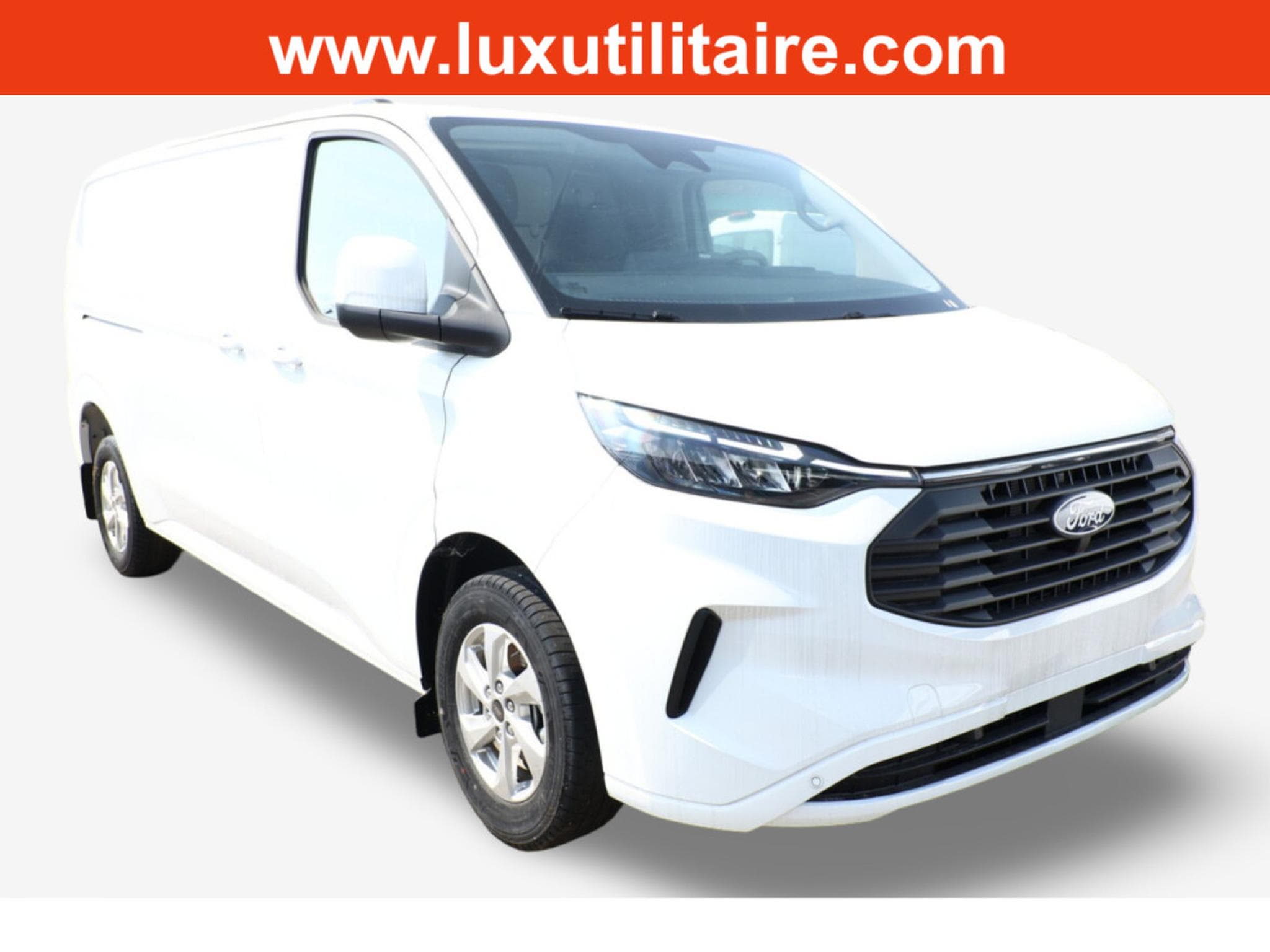 Ford Transit 2.0 ECOBLUE 150 L2H1 Limited (2015) - Foto 1