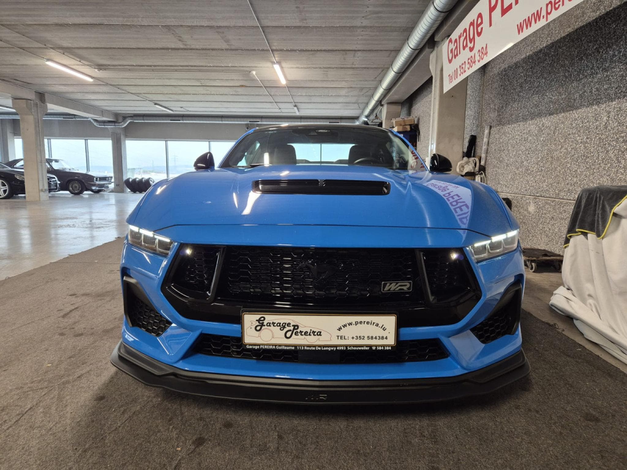 Ford Mustang 5.0 V8 GT LIMITED EDITION WR N°006 GARANTIE FORD 04/2030 (2025) - Foto 3
