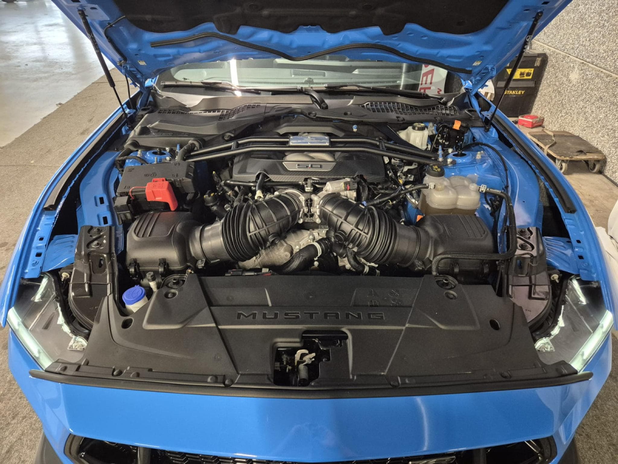Ford Mustang 5.0 V8 GT LIMITED EDITION WR N°006 GARANTIE FORD 04/2030 (2025) - Foto 8
