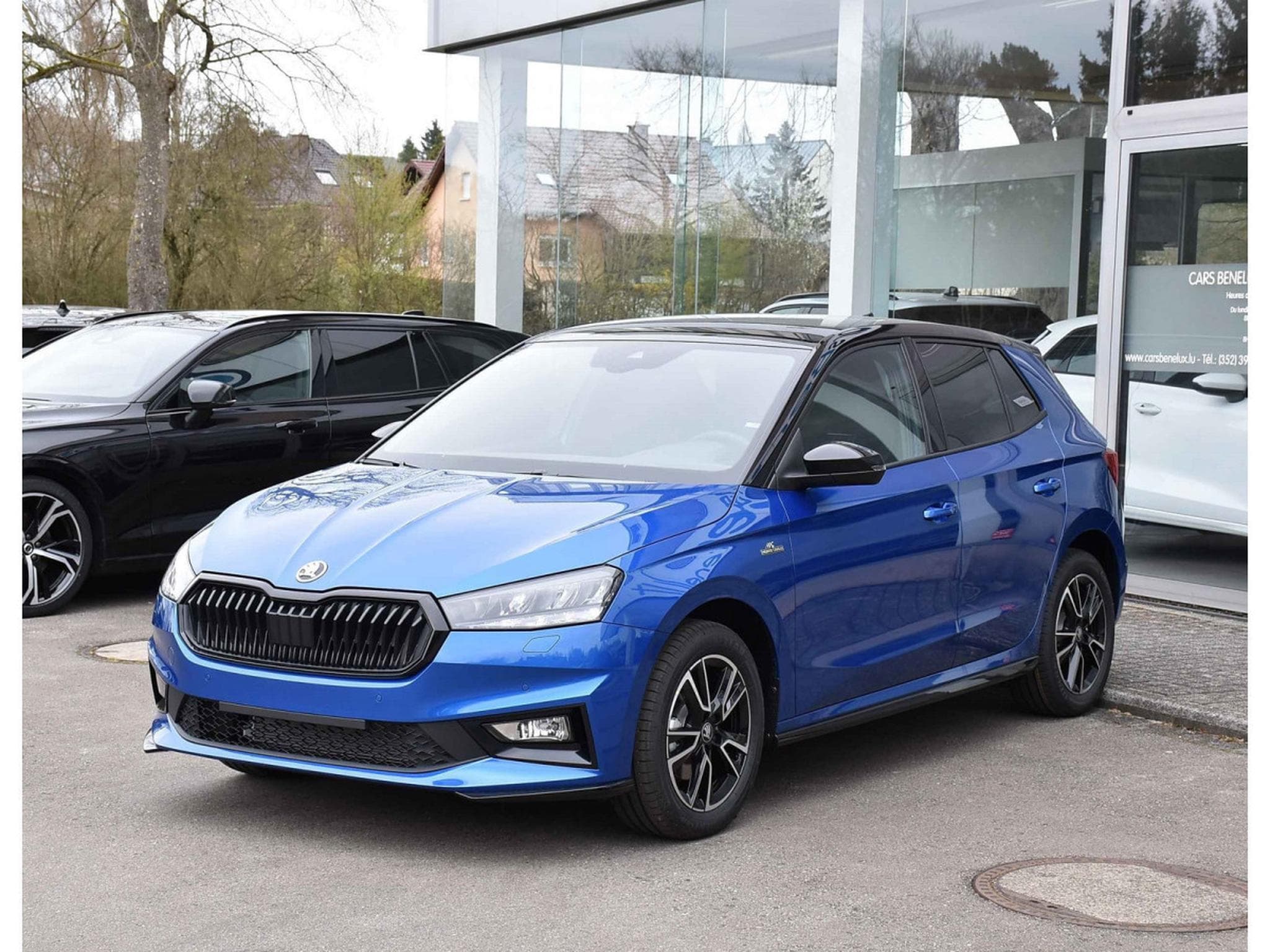 Skoda Fabia 1.0 TSI Monte Carlo DSG ACC TRAVEL CAM KESSY NEUVE (2026) - Foto 2