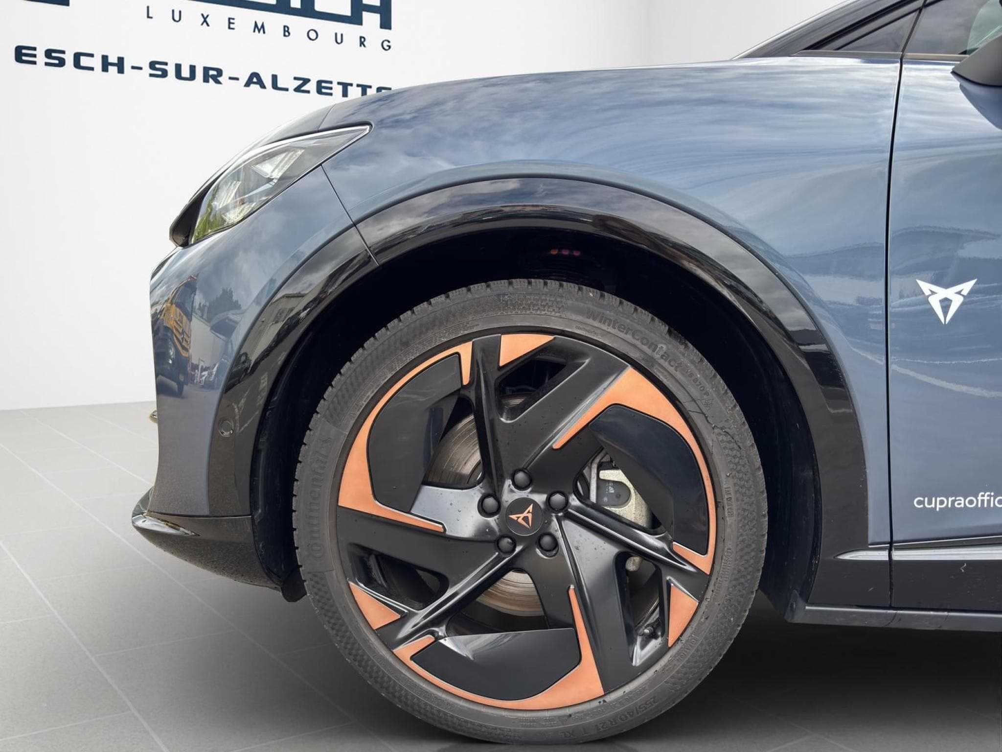 Cupra Tavascan Endurance (2026) - Photo 8