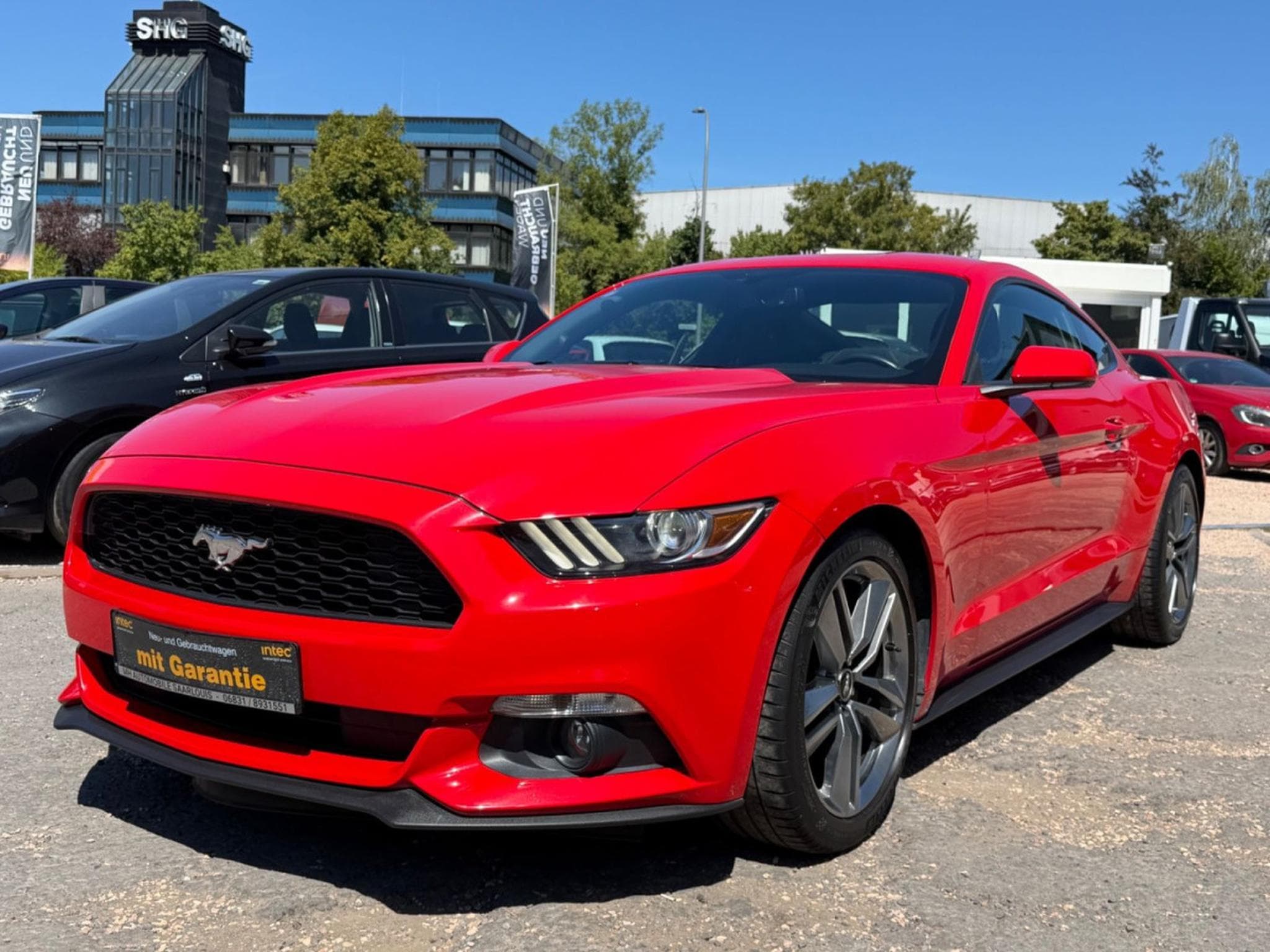 Ford Mustang 2.3 Fastback 1.Hand/ (2015) - Photo 2