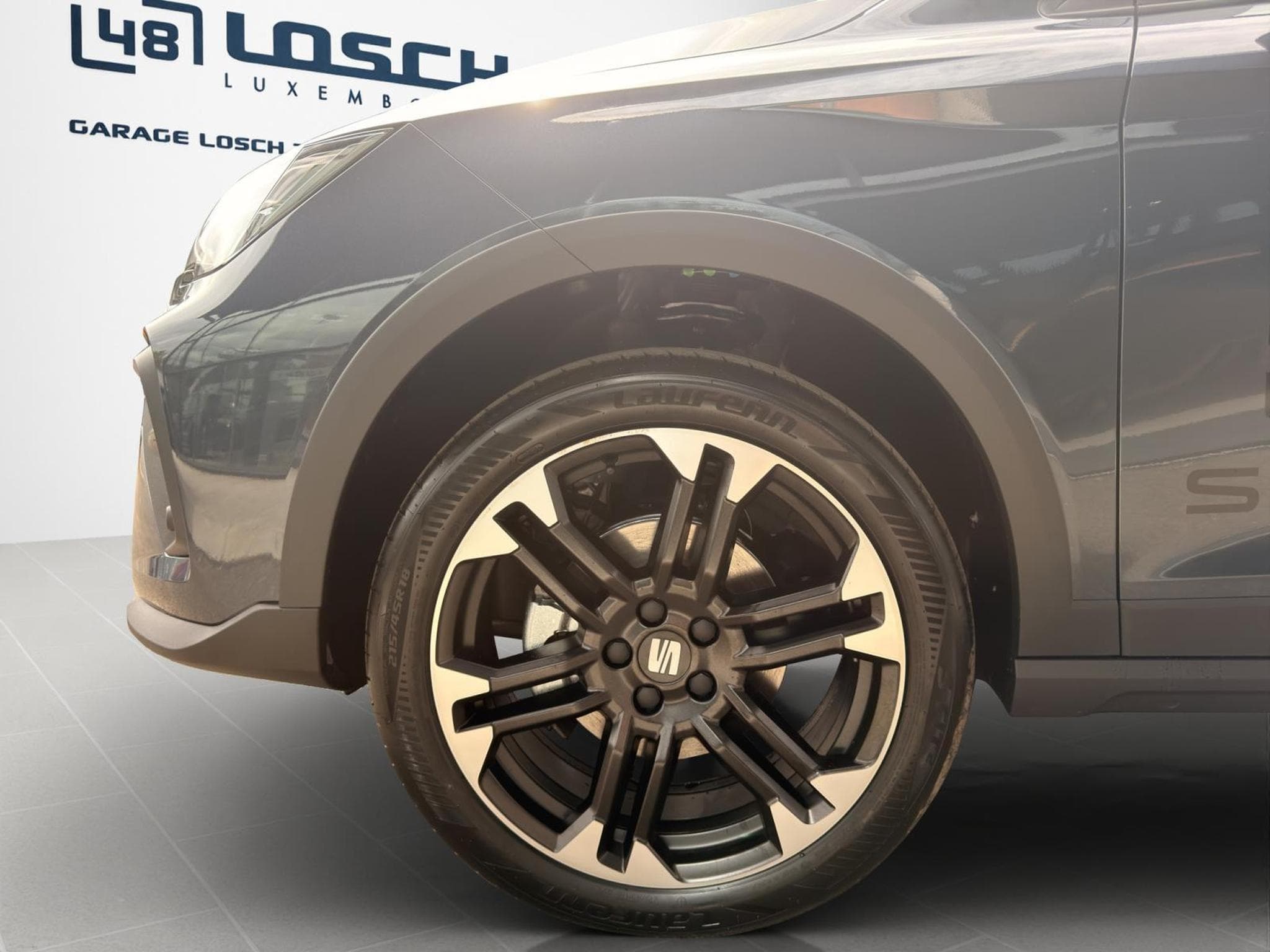 Seat Arona FR (2026) - Foto 8
